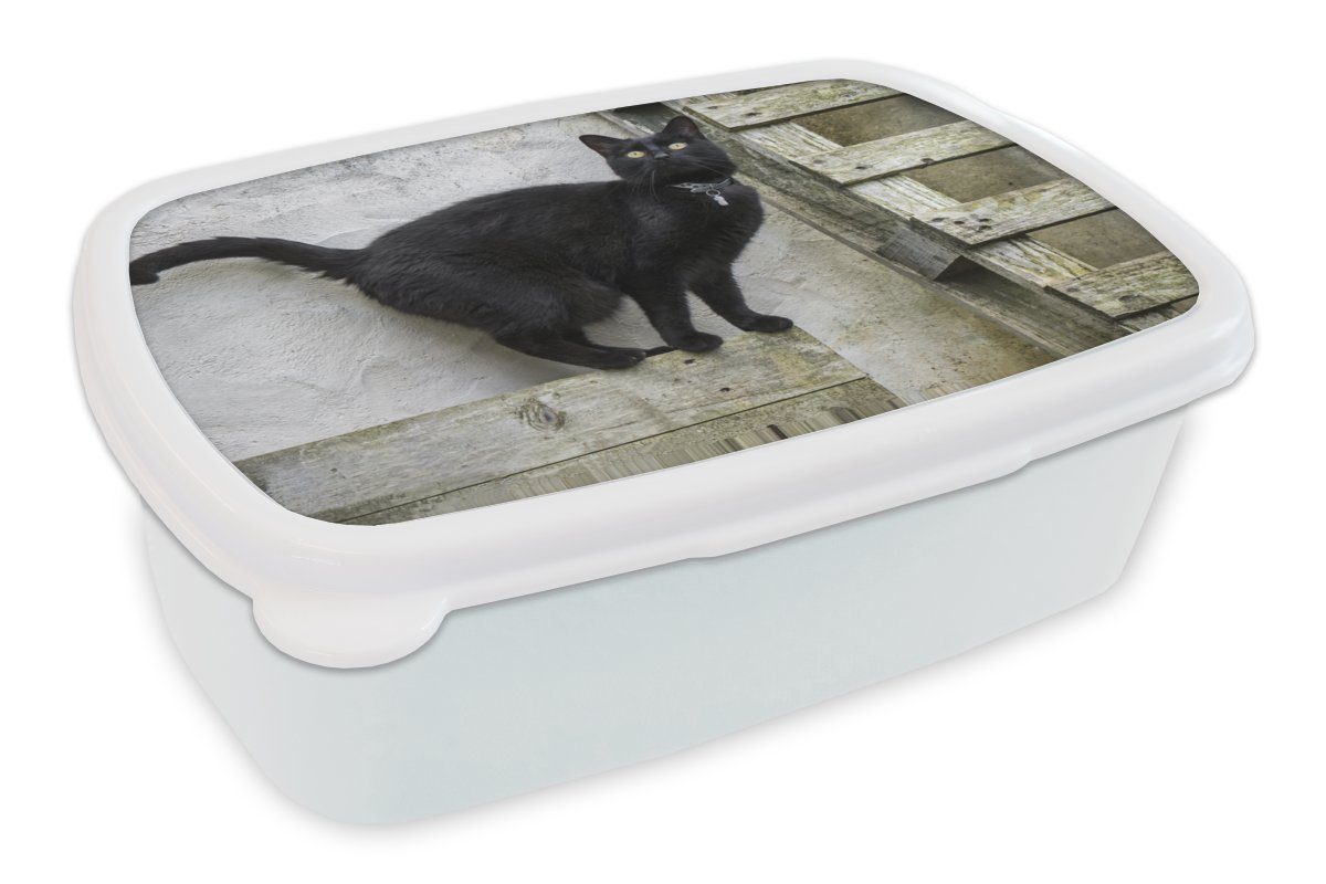 MuchoWow Lunchbox Katze - Schwarz - Palette - Mädchen - Jungen - Kind, Kunststoff, (2-tlg), Brotbox für Kinder und Erwachsene, Brotdose, für Jungs und Mädchen weiß