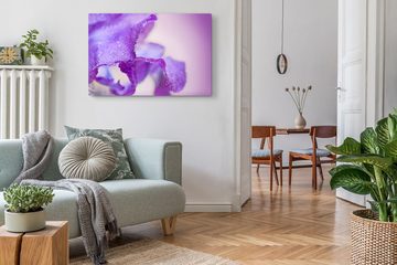 Sinus Art Leinwandbild 120x80cm Wandbild auf Leinwand Makrofotografie Blüte Violett Wassertro, (1 St)