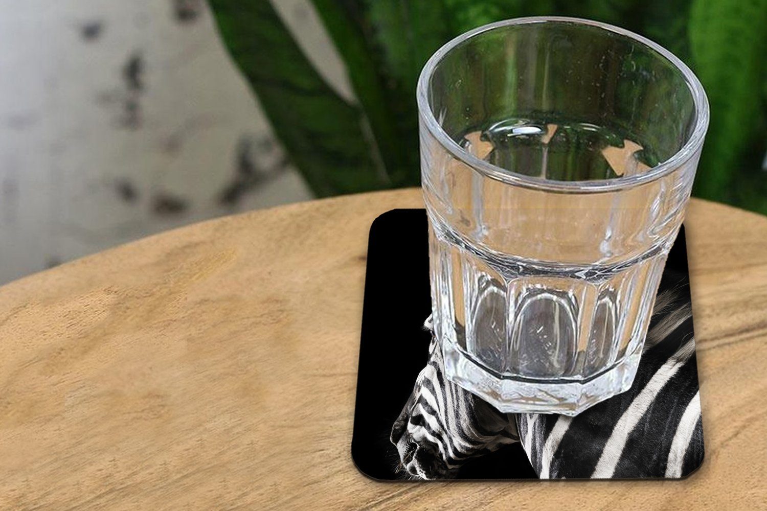 MuchoWow Glasuntersetzer Zebra - Wilde - Korkuntersetzer, 6-tlg., Tasse Muster, für Glasuntersetzer, Untersetzer, Zubehör Gläser, Tiere Tischuntersetzer