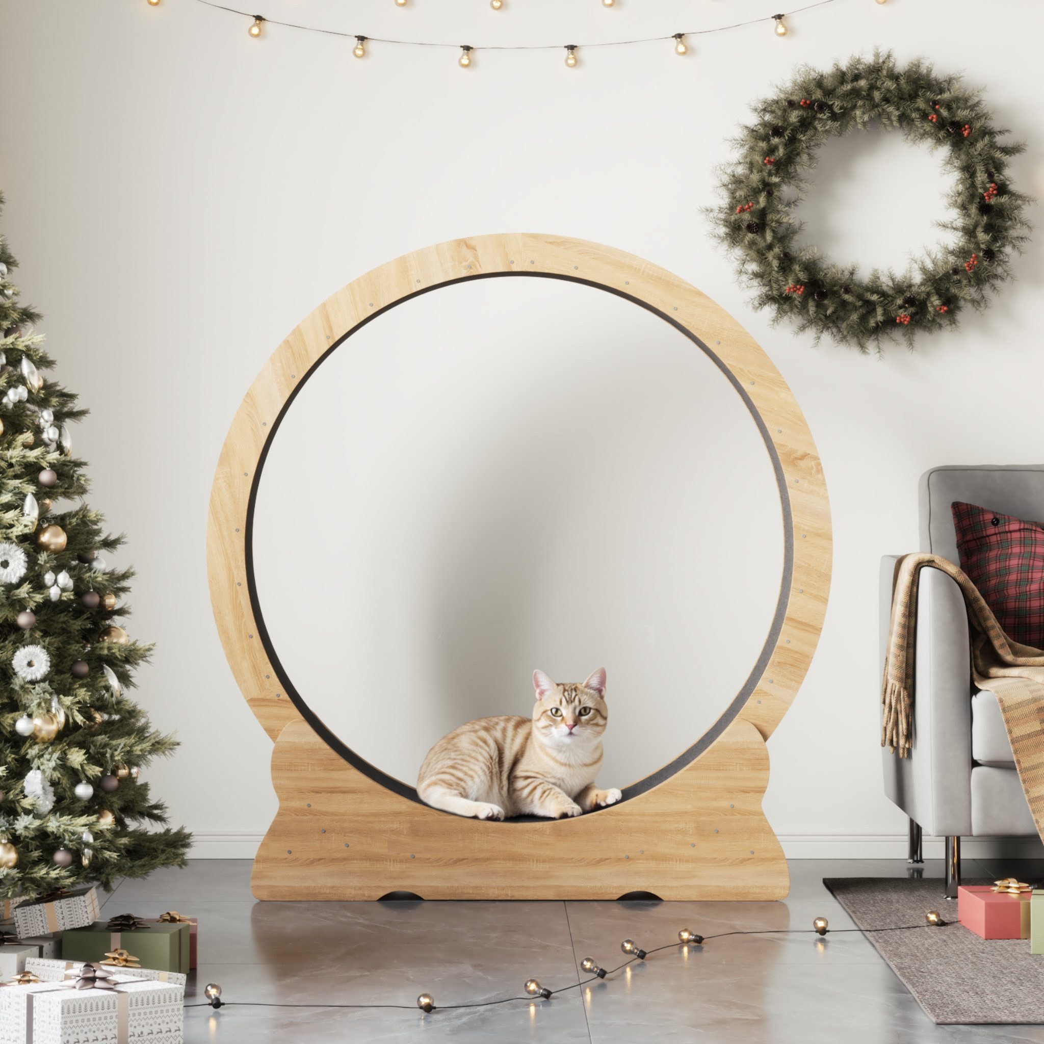 Mondeer Tier-Intelligenzspielzeug Katzenlaufrad, MDF, Leises Scrollrad und günstig online kaufen