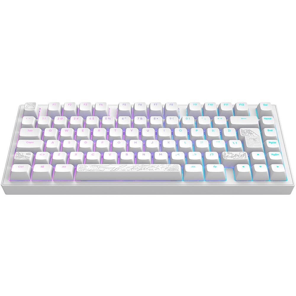 Dark Project ALU81A Terra Nostra White Premium Mechanische Tastatur Aluminium Gaming-Tastatur (Mechanisch, Hot-Swap, Anti-Ghosting, RBG, mehrsprachig, lineare Tasten)