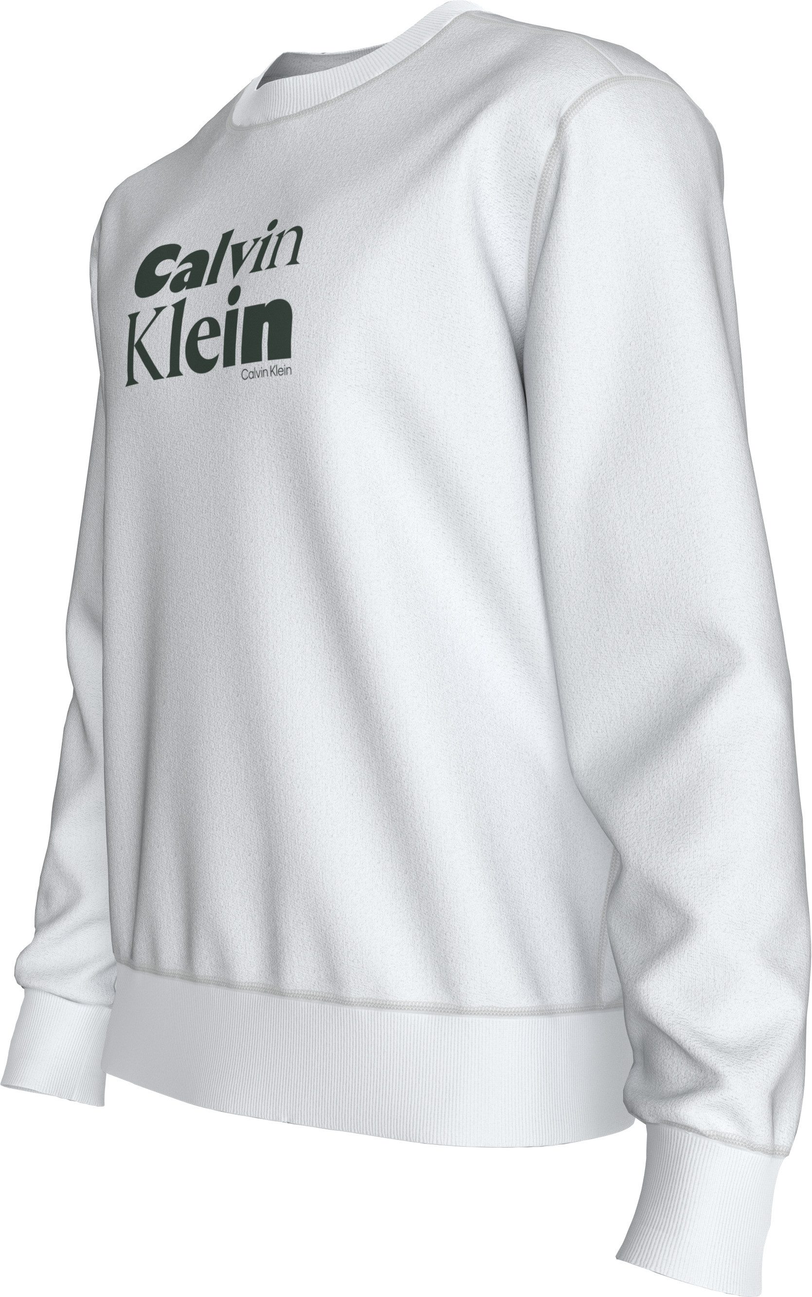 Calvin Klein Sweatshirt LS EU 350TERRY CALVIN BOLD GRAPH Rundhalsausschnitt, regular fit