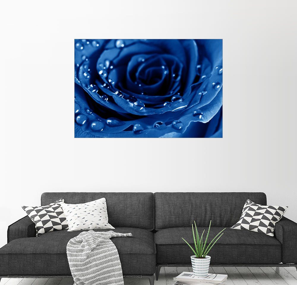 Posterlounge Wandbild, Blaue Rosen mit Wassertropfen online kaufen | OTTO