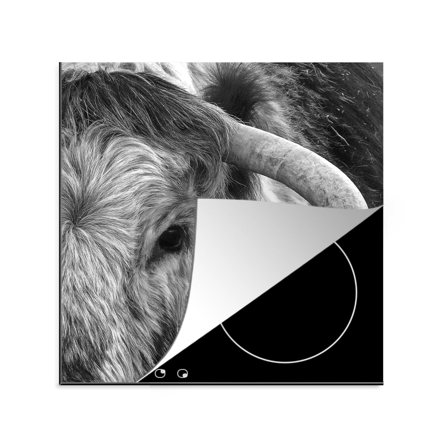 MuchoWow Arbeitsplatte Weiß, - Vinyl, tlg), für Tiere küche Stier Herdblende-/Abdeckplatte - (1 - cm, 78x78 Ceranfeldabdeckung, Schwarz