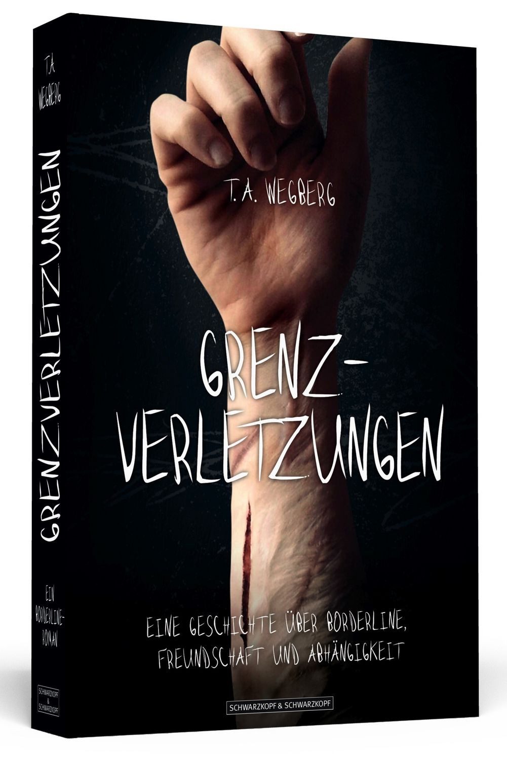 Grenzverletzungen / T.A. Wegberg