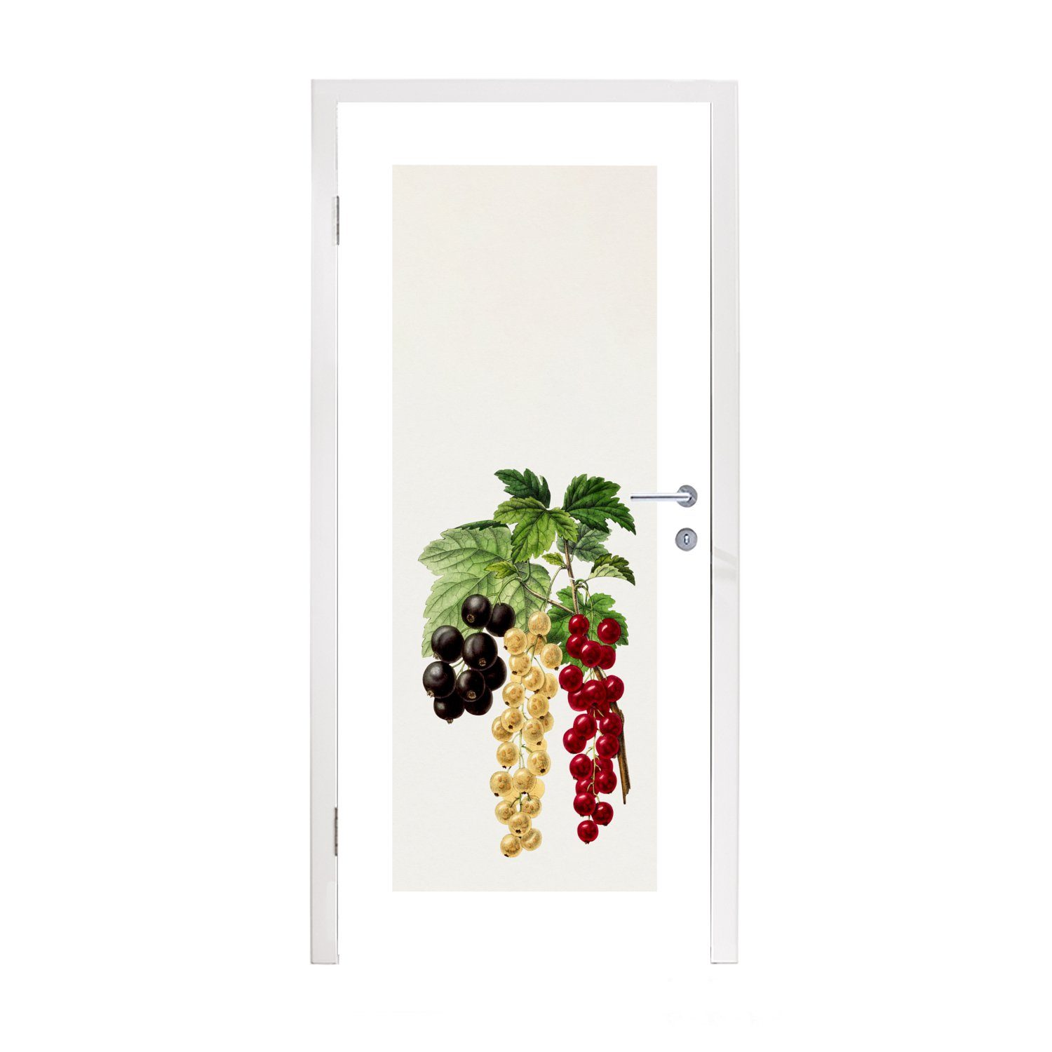 MuchoWow Türtapete Beeren - Obst - Lebensmittel, Matt, bedruckt, (1 St), Fototapete für Tür, Türaufkleber, 75x205 cm