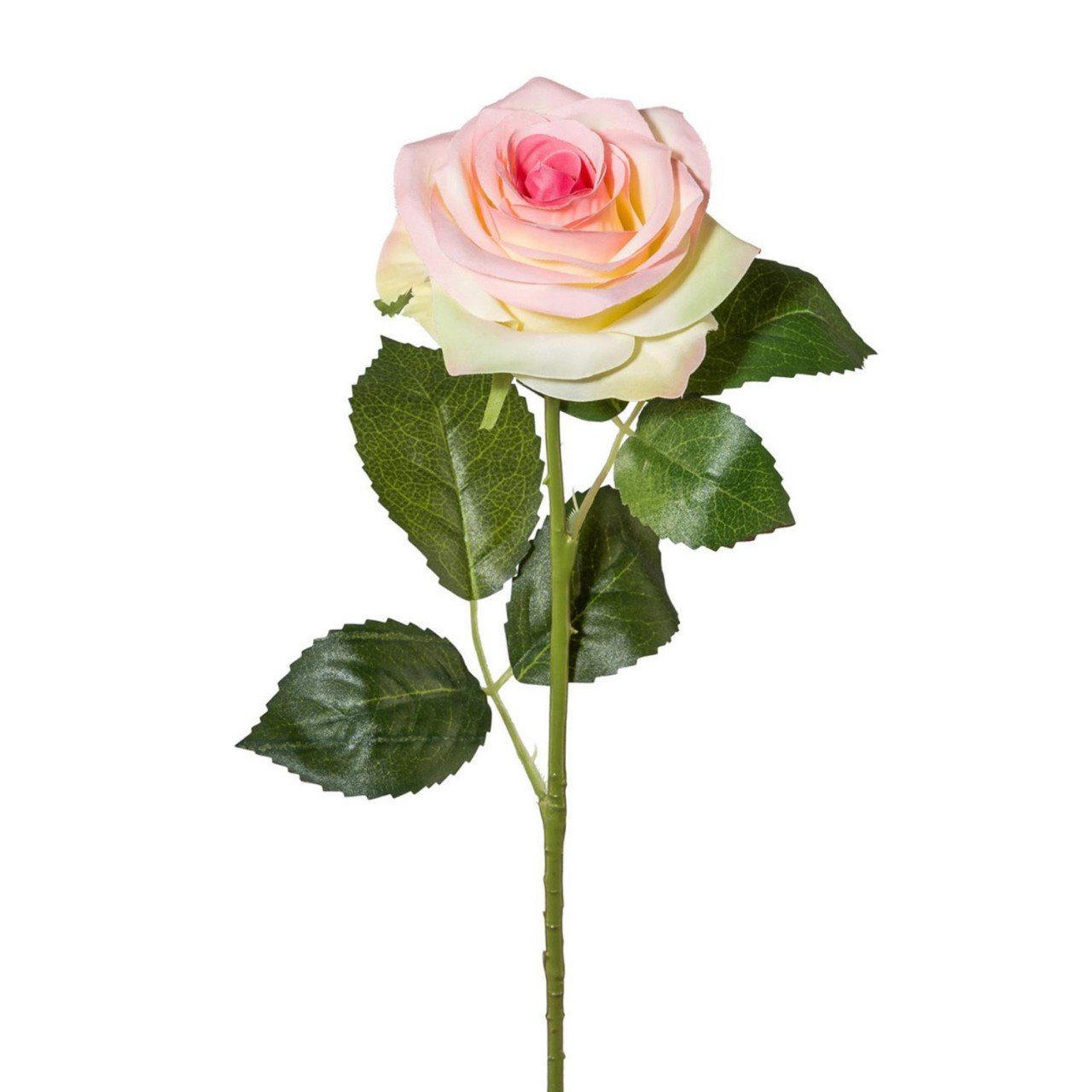 Kunstpflanze, Gasper, Höhe 53 cm, H:53cm D:8cm Rosa Kunststoff