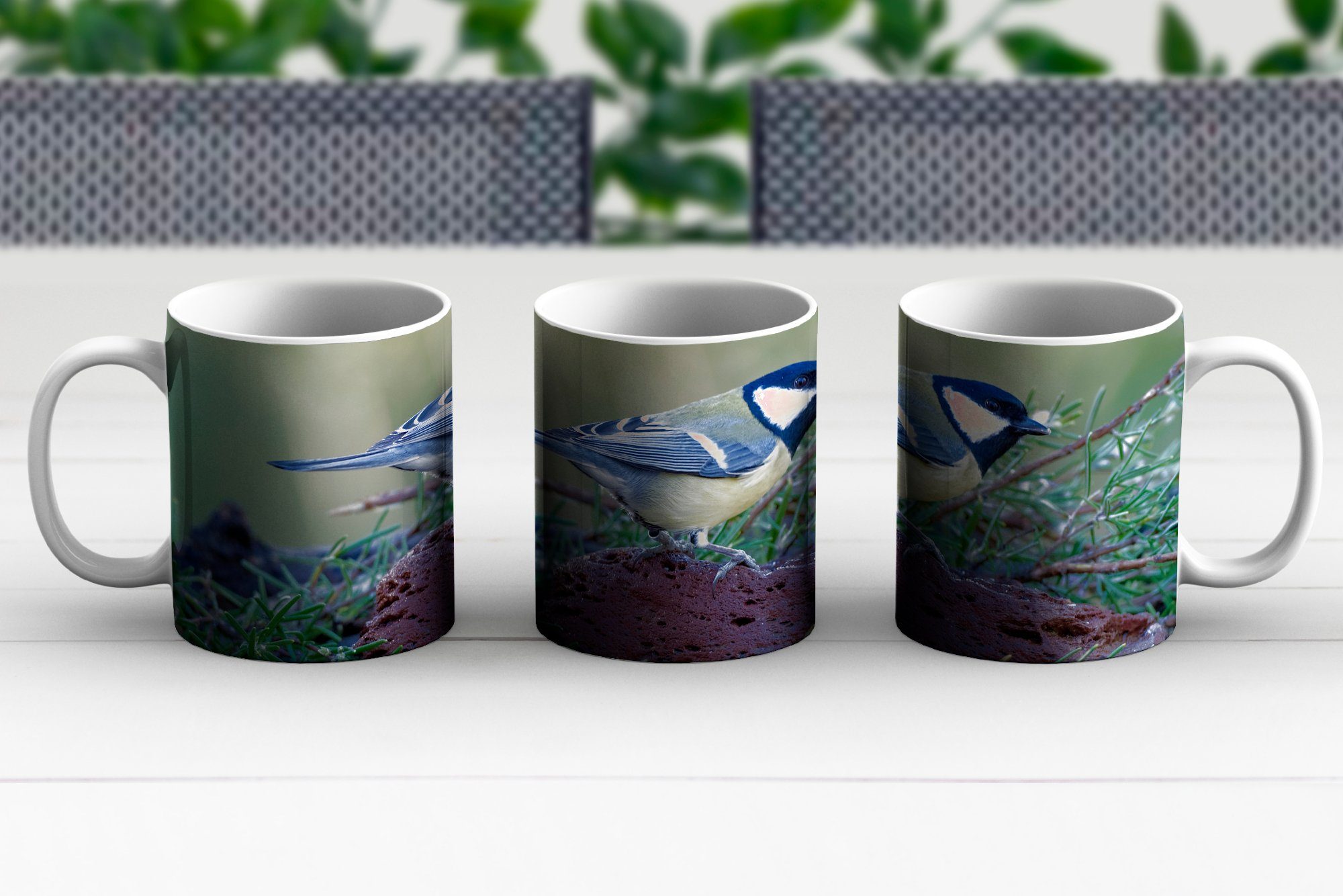 im Teetasse, Wasser Geschenk Eine Tasse Keramik, MuchoWow Becher, Teetasse, Kohlmeise Gras, und Kaffeetassen, am sitzt