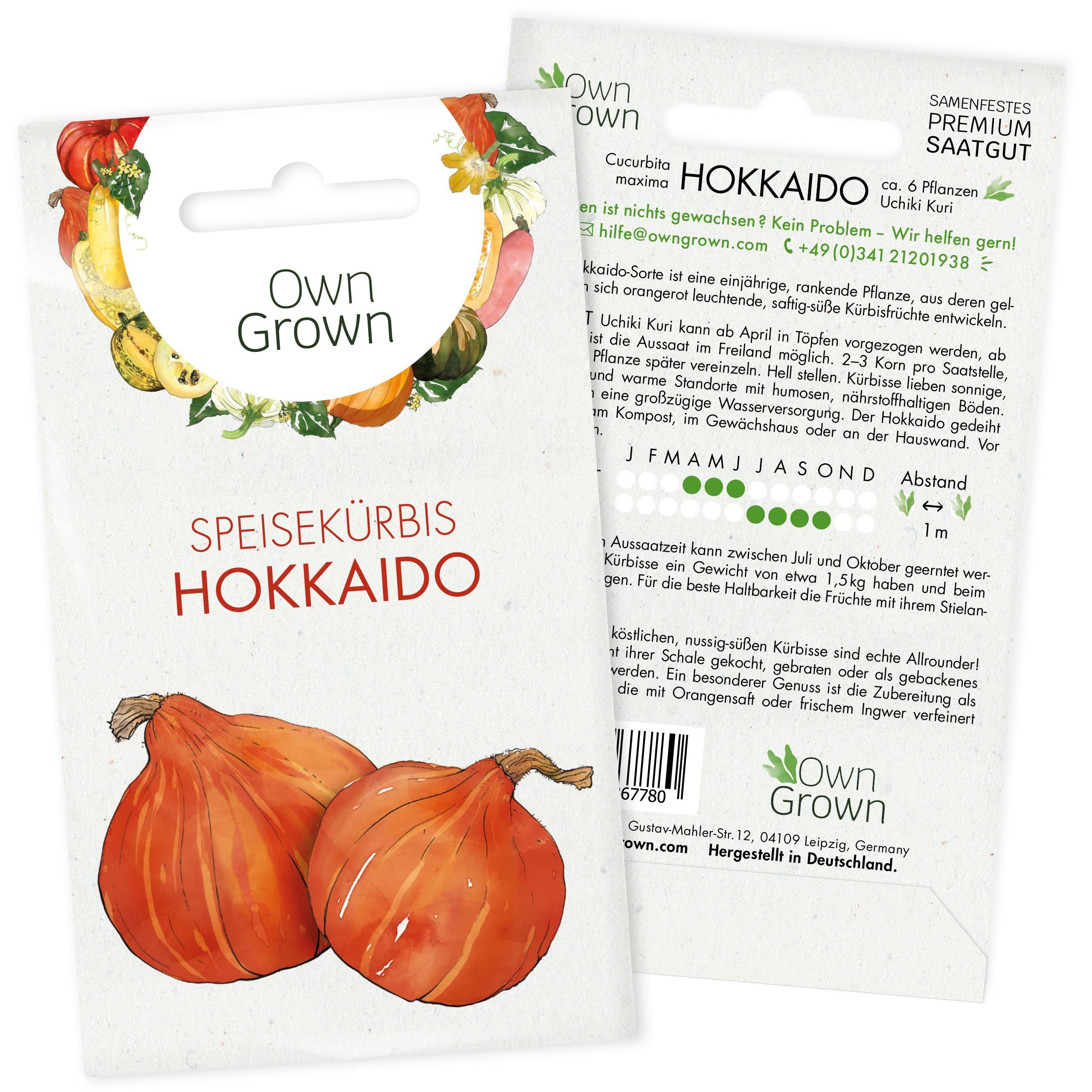 OwnGrown Anzucht- und Kräutererde Premium Uchiki Kuri Hokkaido Kürbis Samen  zur Anzucht von 6 Pflanzen, Hokkaido Kürbis
