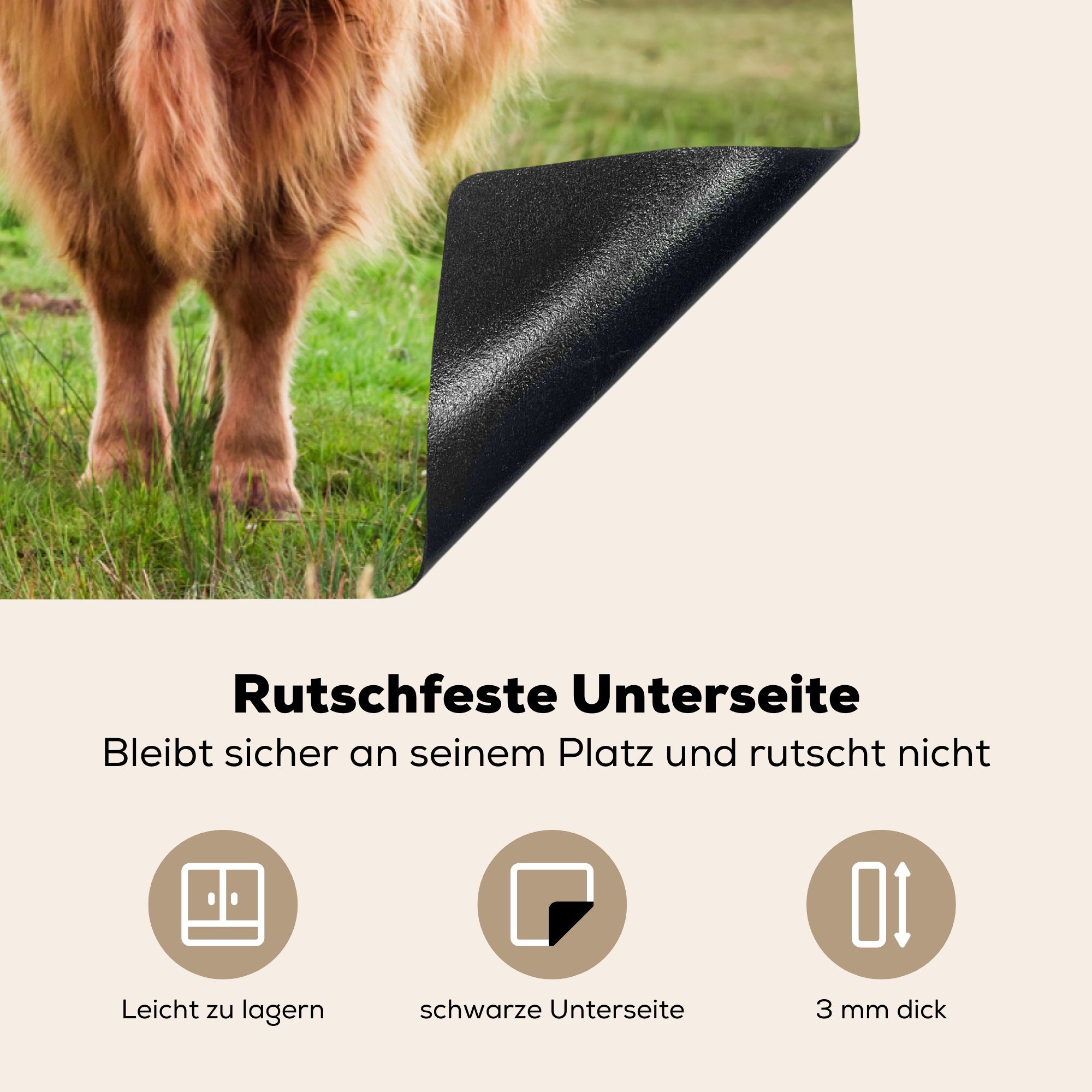 (1 - Schutz MuchoWow Kuh tlg), cm, 81x52 die Herdblende-/Abdeckplatte für Schottland - Braun, Induktionskochfeld Ceranfeldabdeckung Vinyl, küche,