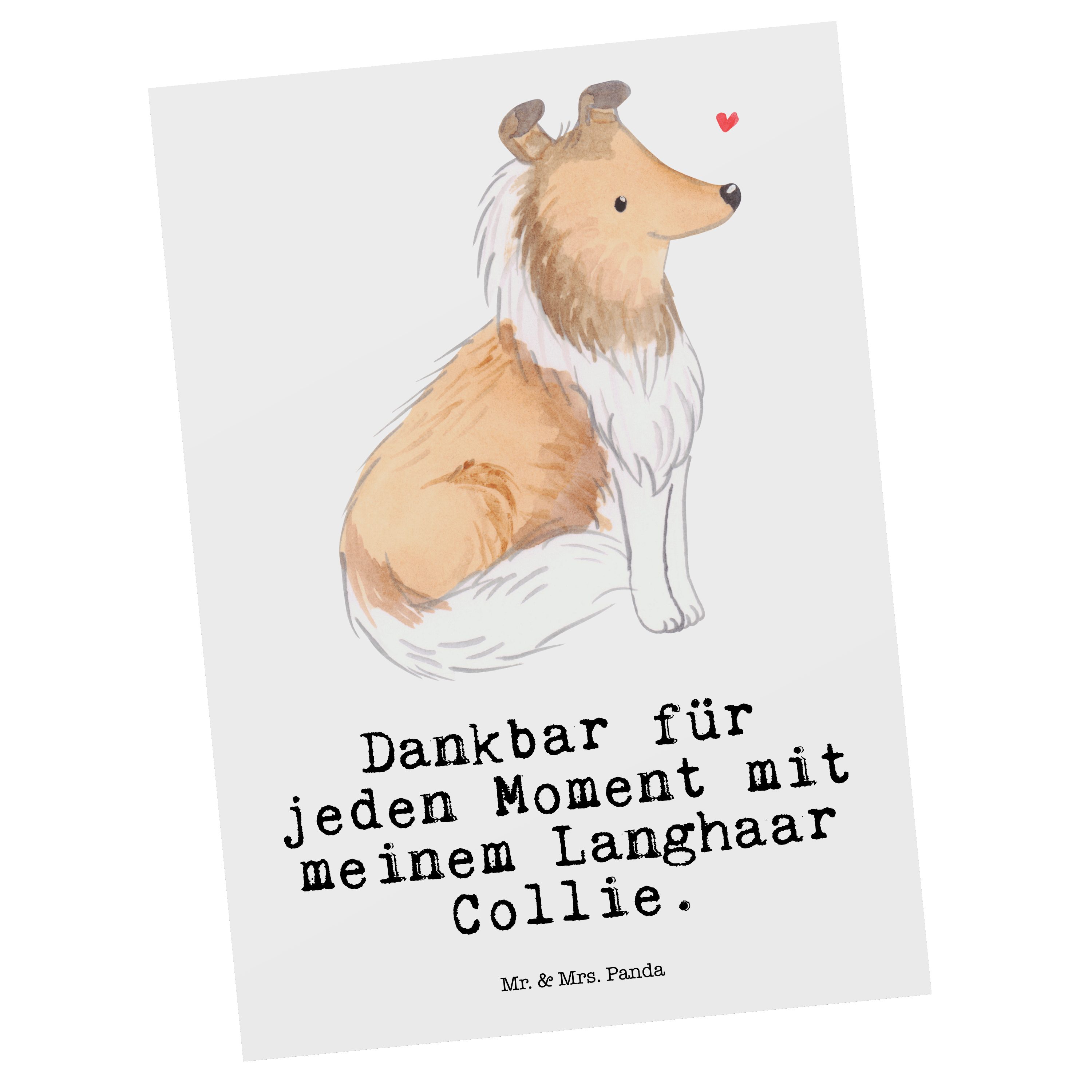 Mr. Langhaar - Geschenk, - Collie Postkarte Dankeskarte, Mrs. Weiß Moment Panda Ansichtskarte &