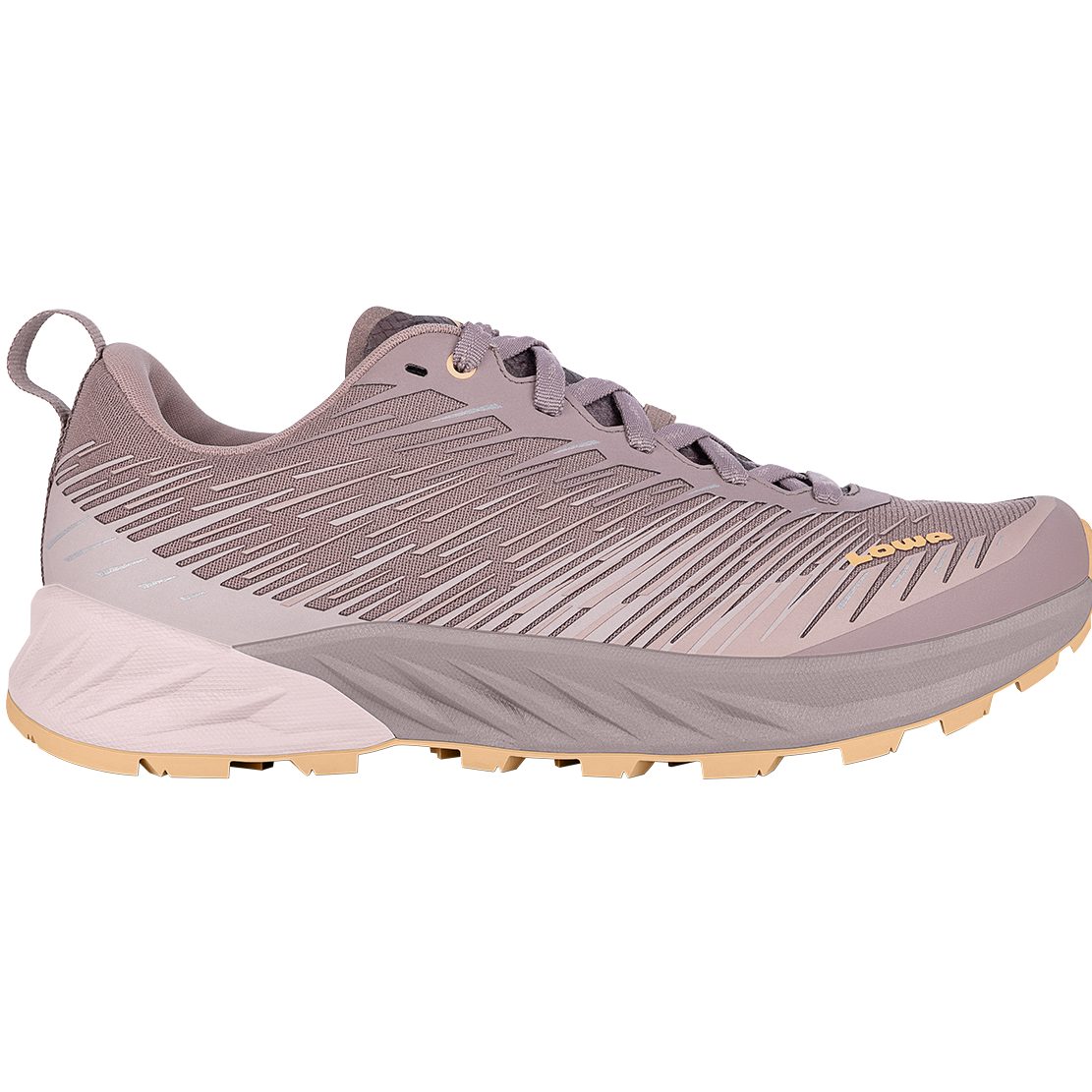 Lowa Amplux Wanderschuh