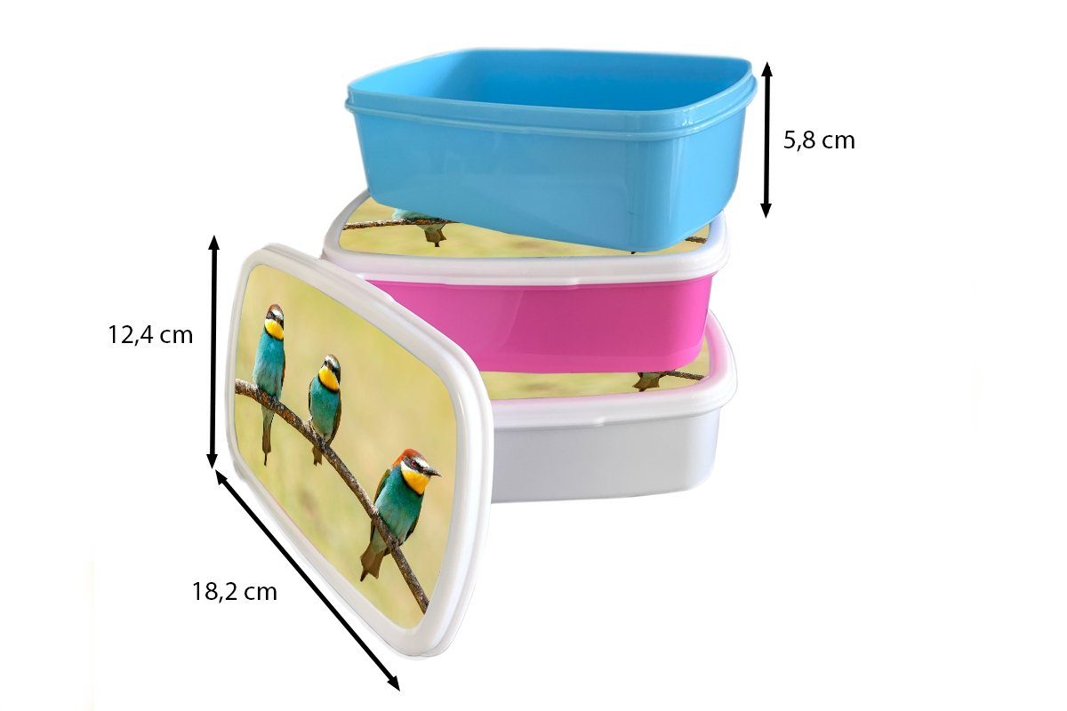 MuchoWow Lunchbox Vögel - Kinder, - Brotdose Snackbox, rosa Bienenfresser, für Erwachsene, Tiere Kunststoff Brotbox Kunststoff, (2-tlg), Mädchen