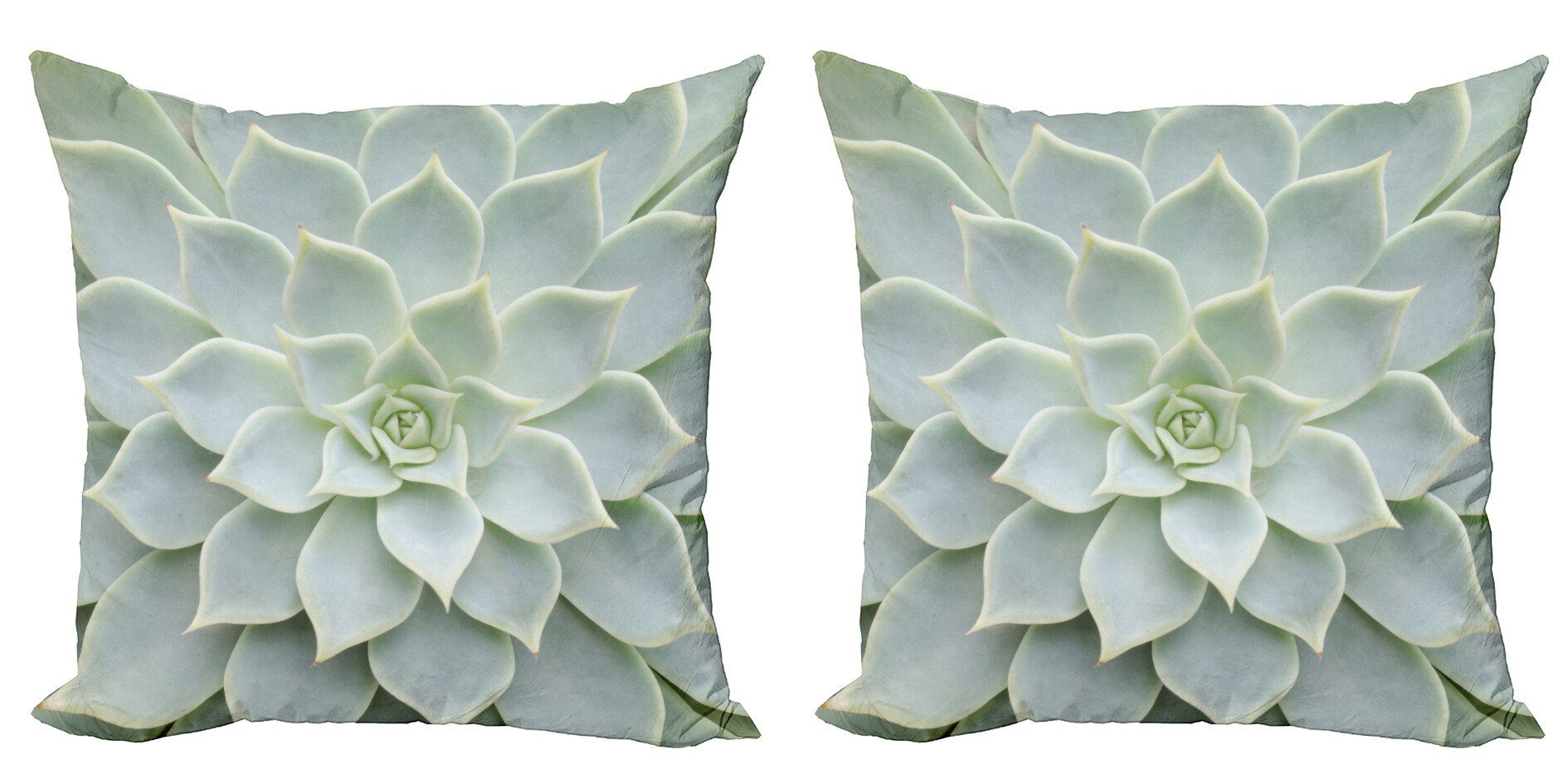 Kissenbezüge Modern Accent Doppelseitiger Digitaldruck, (2 Wüste Foto Abakuhaus Stück), Kaktus-Blumen