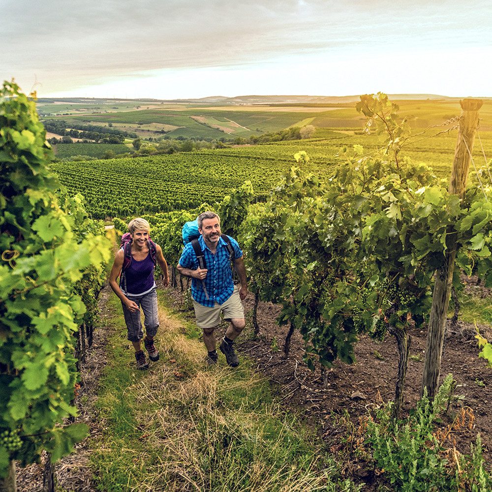Jochen Schweizer Erlebnisgutschein Hiwweltouren Wanderurlaub für 2 (1 Nacht), Das Land der 1.000 Hügel – Märchenhafte Hiwweltouren in Rheinhessen