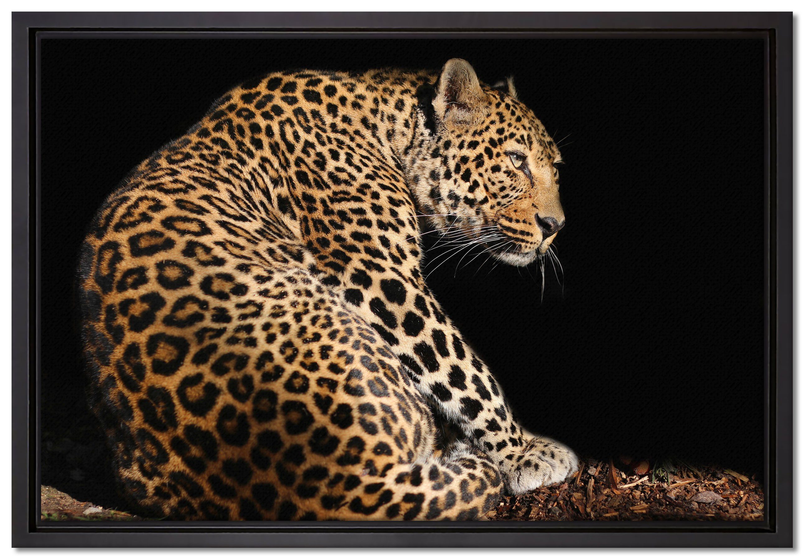 Pixxprint Leinwandbild Anmutiger Leopard, Wanddekoration (1 St), Leinwandbild fertig bespannt, in einem Schattenfugen-Bilderrahmen gefasst, inkl. Zackenaufhänger