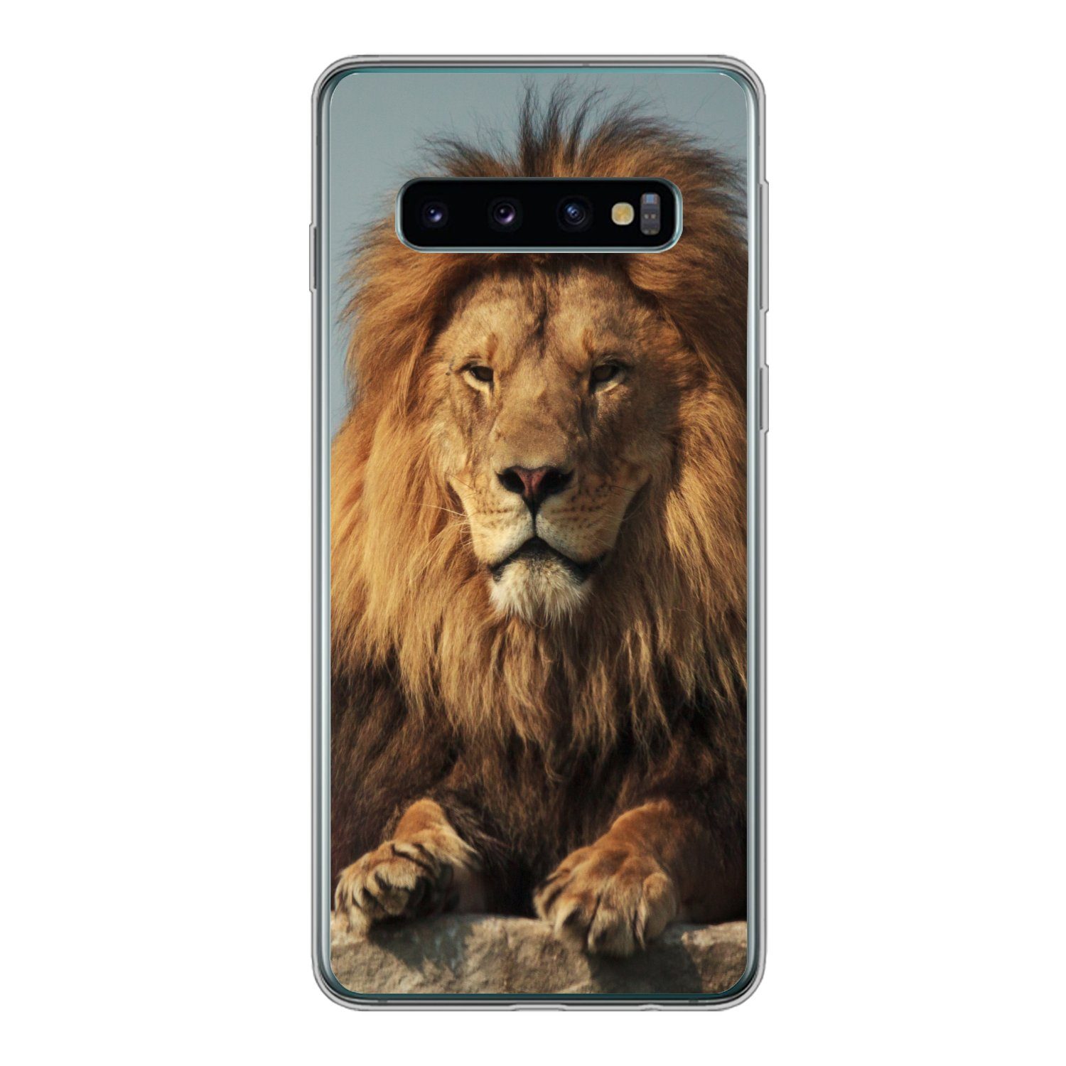 Handyhülle für Samsung Galaxy S10 Löwe - Felsen - Porträt