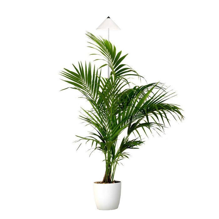 Parus by Venso Pflanzenlampe Indoor plants Leuchtmittel für Pflanzen Teleskopstab 1 7m SUNLiTE Pflanzenlampe XL 25W Weiß