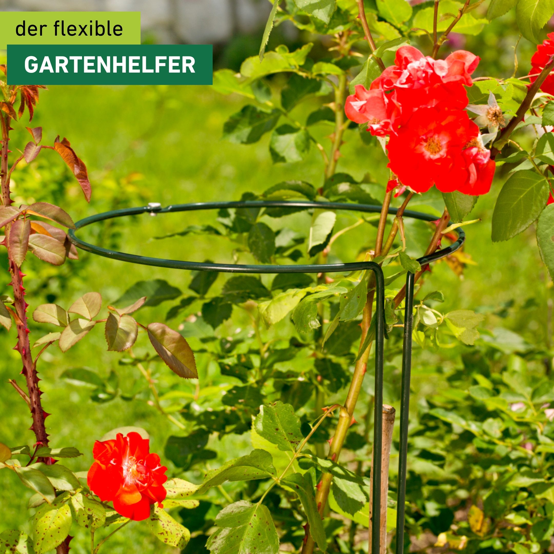 Windhager Rankhilfe Staudenstützen 2-teilig für Pflanzen, 1 St., langlebiger Staudenhalter erhältlich in unterschiedlichen Größen, grün