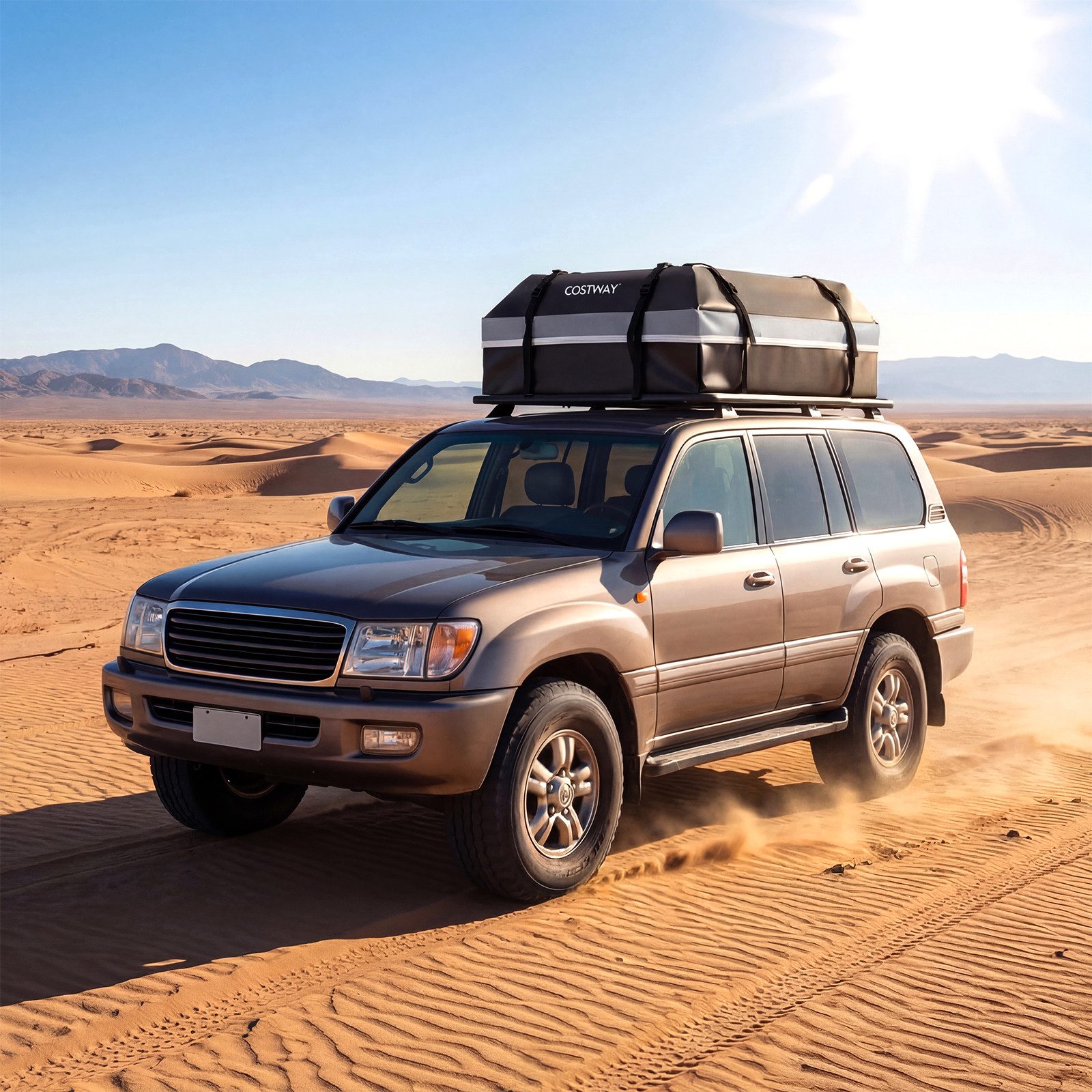 COSTWAY Dachbox, 450L, wasserdicht, tragbar, mit 6 Türhaken & Schloss