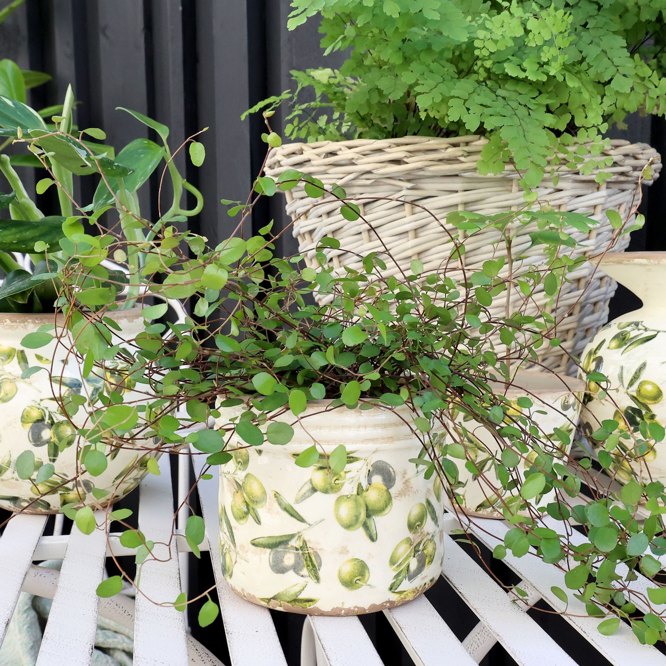 Annimuck Übertopf Chic Antique Vintage Olive günstig online kaufen
