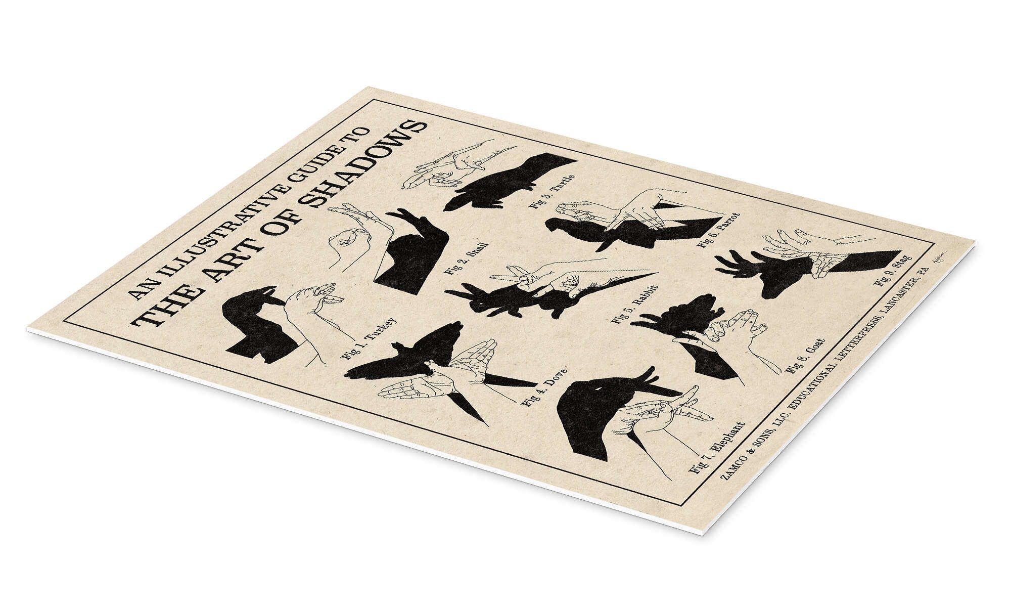 Posterlounge Wandbild Die Kunst der Schattenspiele günstig online kaufen