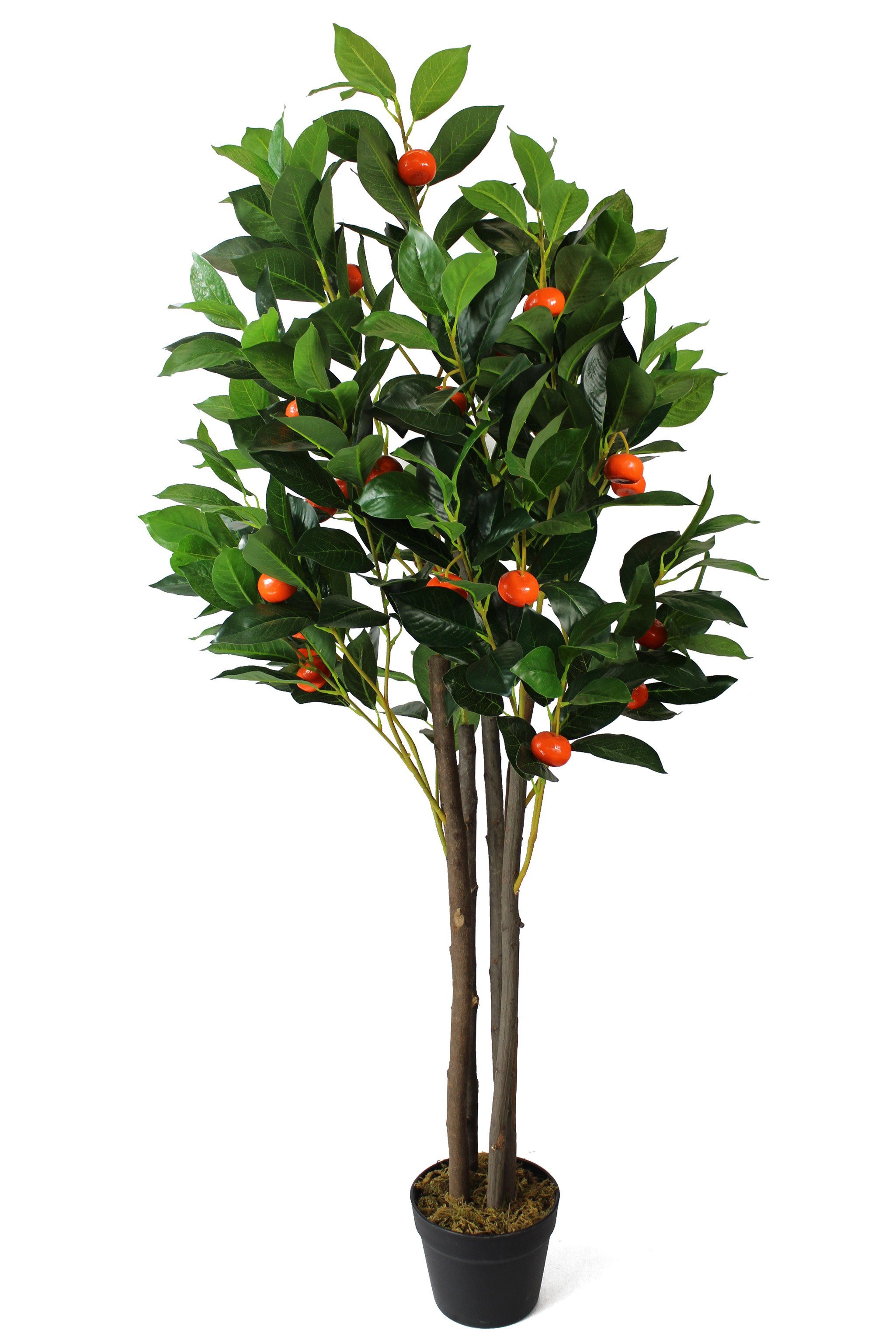 Kunstpflanze künstlicher Mandarinenbaum mit Echtholz-Stamm 125 x 55 cm Kunstbaum Mandarine, Arnusa, Höhe 125 cm, im beschwerten Topf