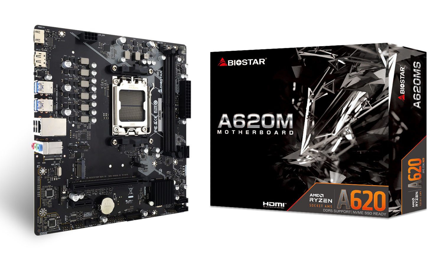 Biostar A620MS Mainboard