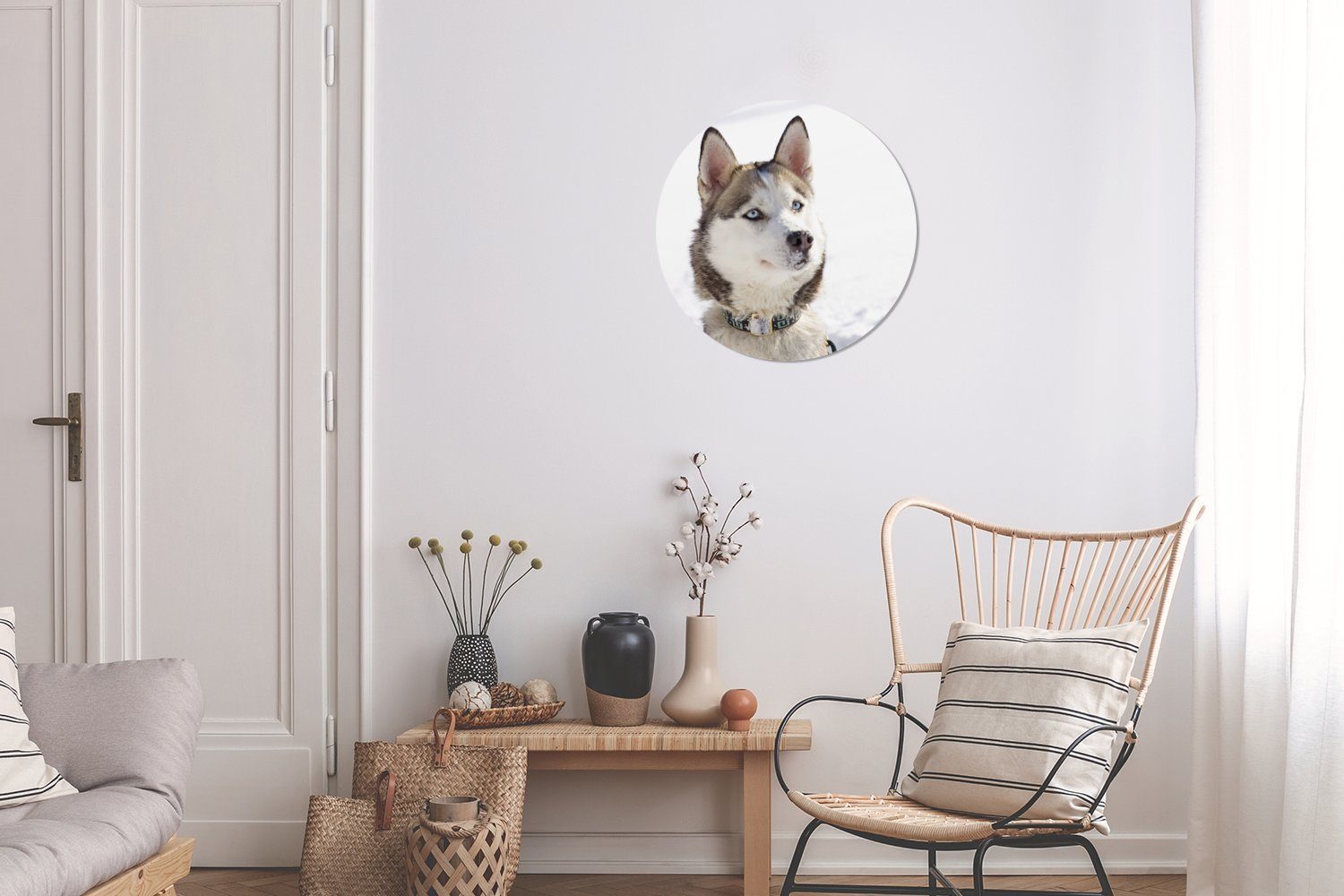 Wandsticker Schlittenhund Tapetenaufkleber, (1 Schnee Tapetenkreis im Rund, Kinderzimmer, Sibirischer Wohnzimmer St), für MuchoWow