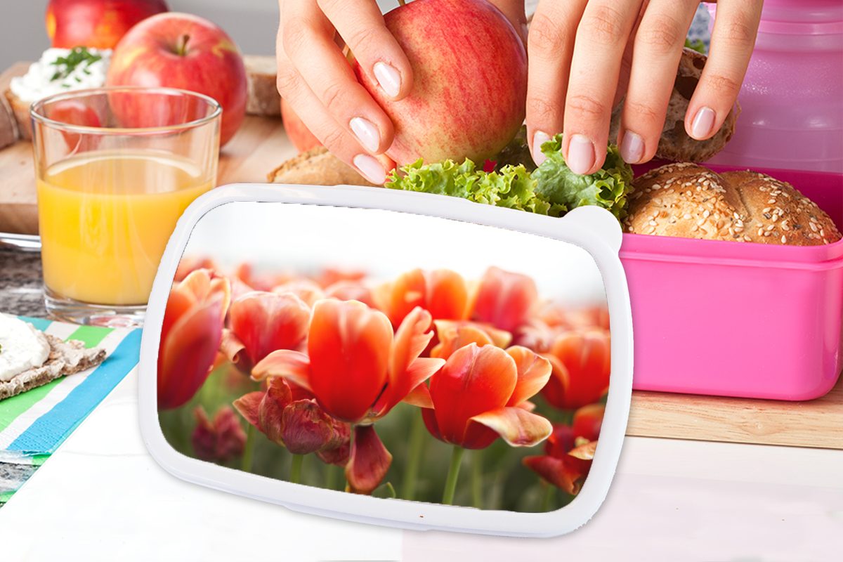 Bild Kunststoff (2-tlg), roten Erwachsene, Lunchbox von Brotdose Tulpen, für rosa Blätter Brotbox MuchoWow Mädchen, Kunststoff, der Snackbox, Kinder,