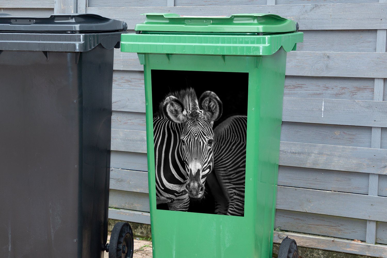 Container, Mülltonne, MuchoWow Hintergrund Sticker, Wandsticker (1 Mülleimer-aufkleber, St), schwarzem Zebras Abfalbehälter auf