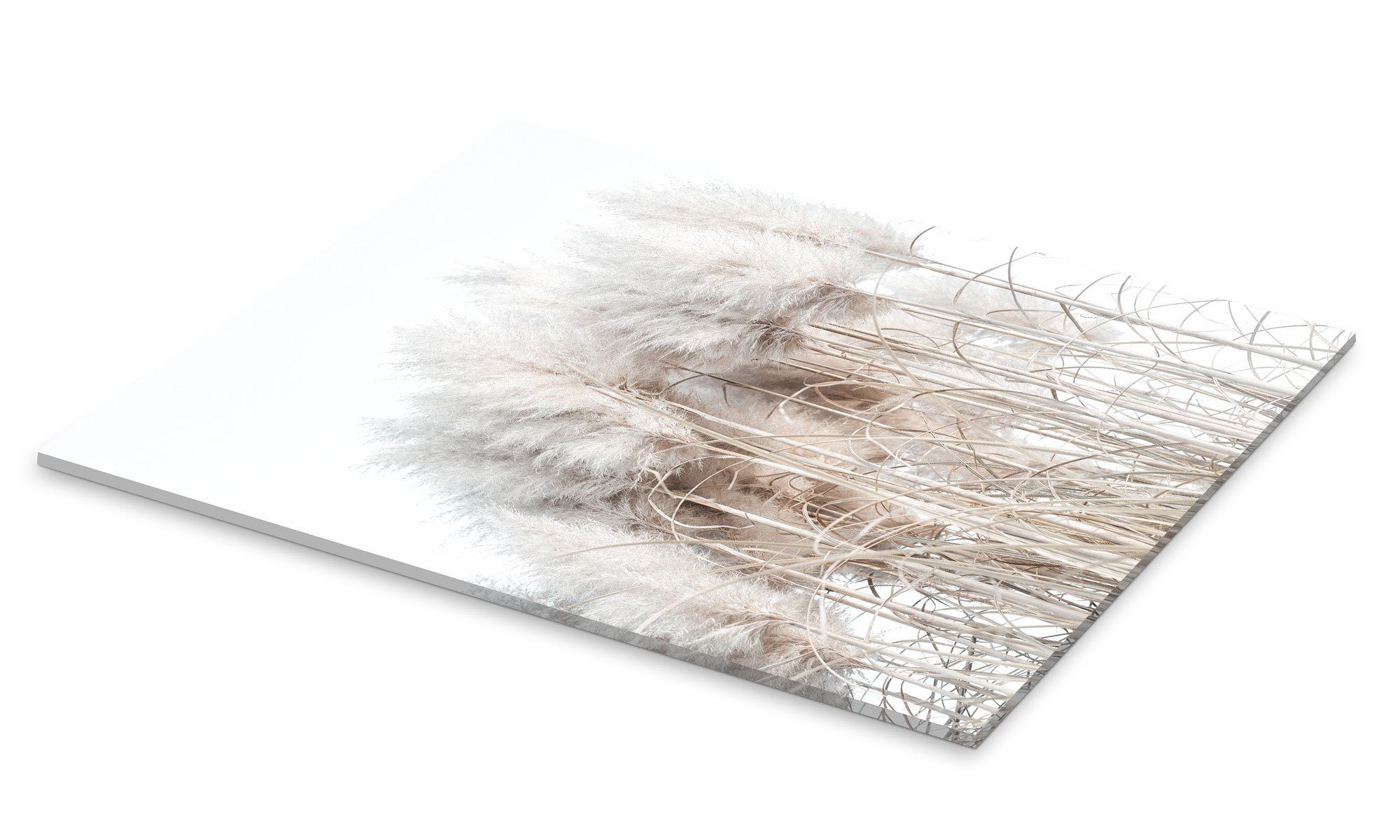 Posterlounge Wandbild Pampasgras I, Magda Izzard, günstig online kaufen