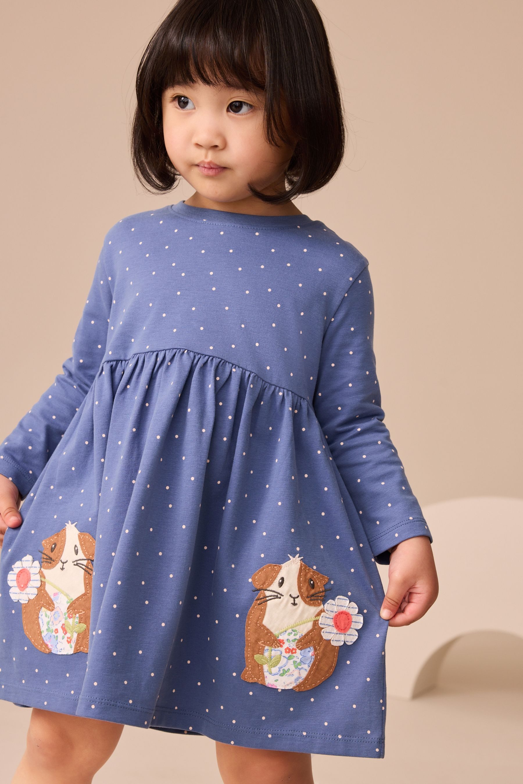 Next Blusenkleid Verziertes Kleid mit langen günstig online kaufen