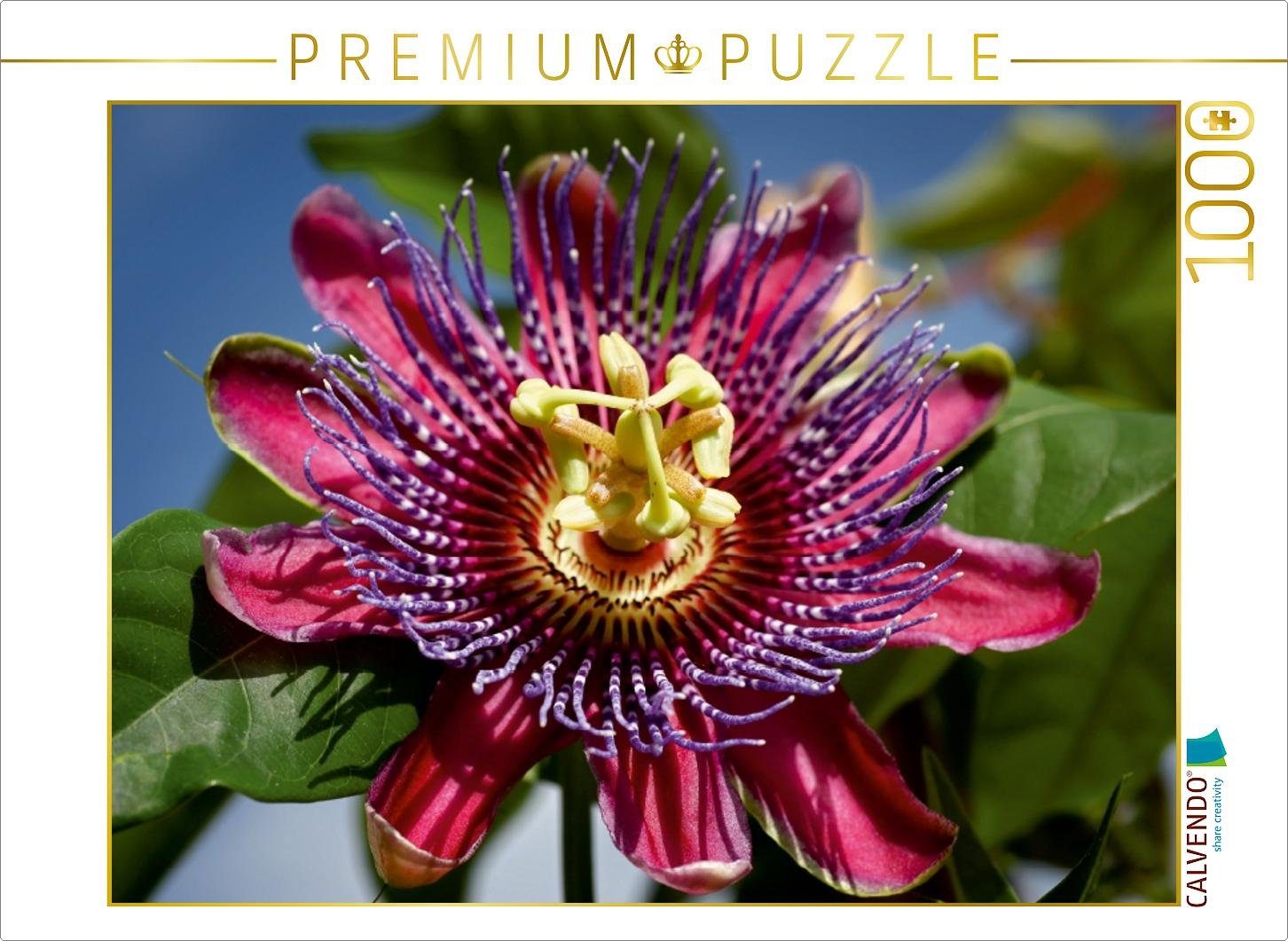 CALVENDO Puzzle CALVENDO Puzzle Passiflora - Passionsblume 1000 Teile Lege-Größe 64 x 48 cm Foto-Puzzle Bild von Martina Cross, 1000 Puzzleteile