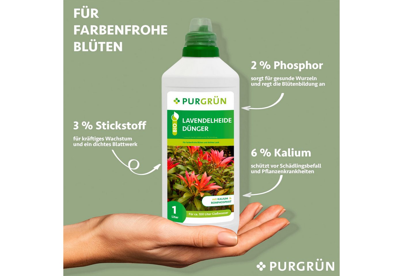 Thumbnail - Purgrün Gartendünger Purgrün Bio Lavendelheide Dünger, NPK 4+1+7, Algenextrakt, 1 Liter, Flüssigdünger, extra Kalium für...