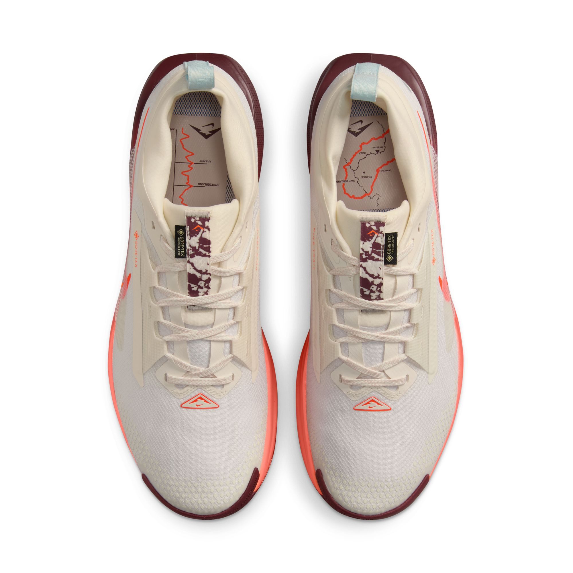 Nike PEGASUS TRAIL 5 GTX Laufschuh wasserdicht