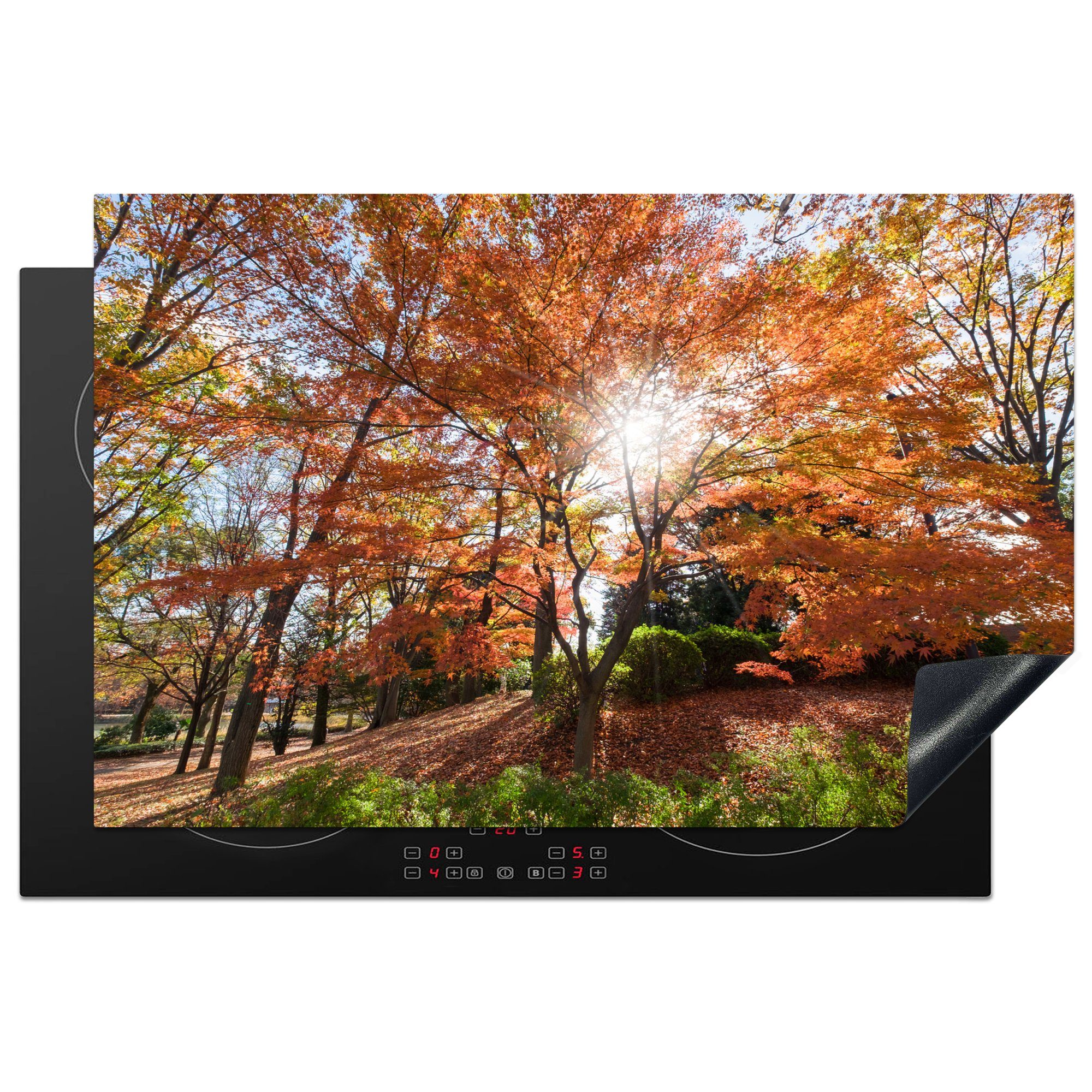 MuchoWow Herdblende-/Abdeckplatte Sonnenlicht durch einen japanischen Ahorn im Park, Vinyl, (1 tlg), 81x52 cm, Induktionskochfeld Schutz für die küche, Ceranfeldabdeckung