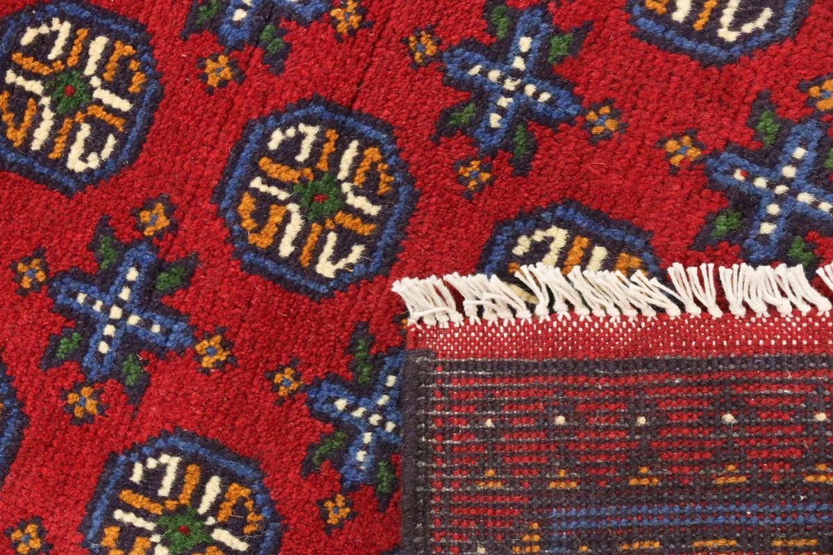 Akhche Nain Afghan Höhe: Handgeknüpfter Trading, 6 Orientteppich Orientteppich, mm rechteckig, 201x297