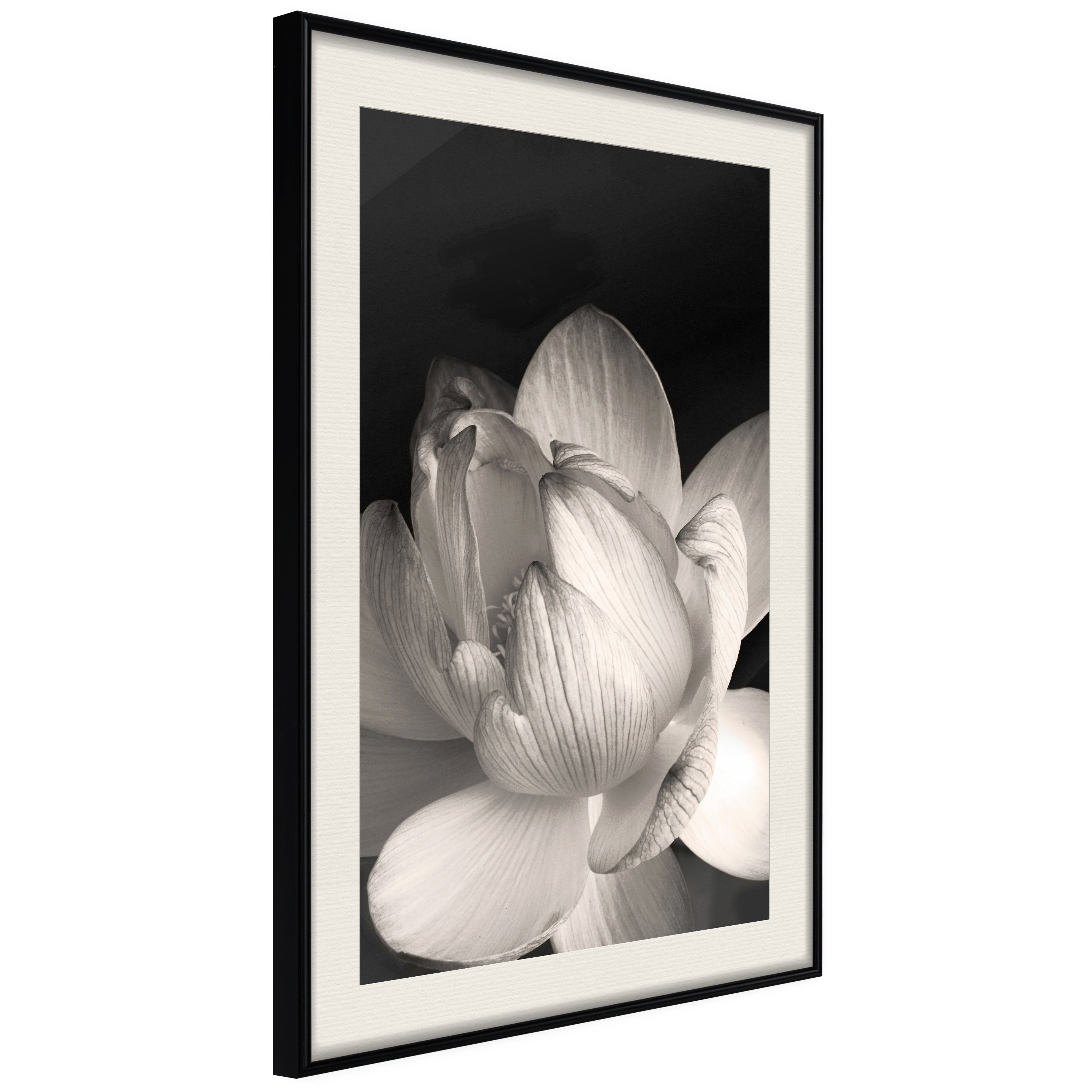 Poster White Subtlety