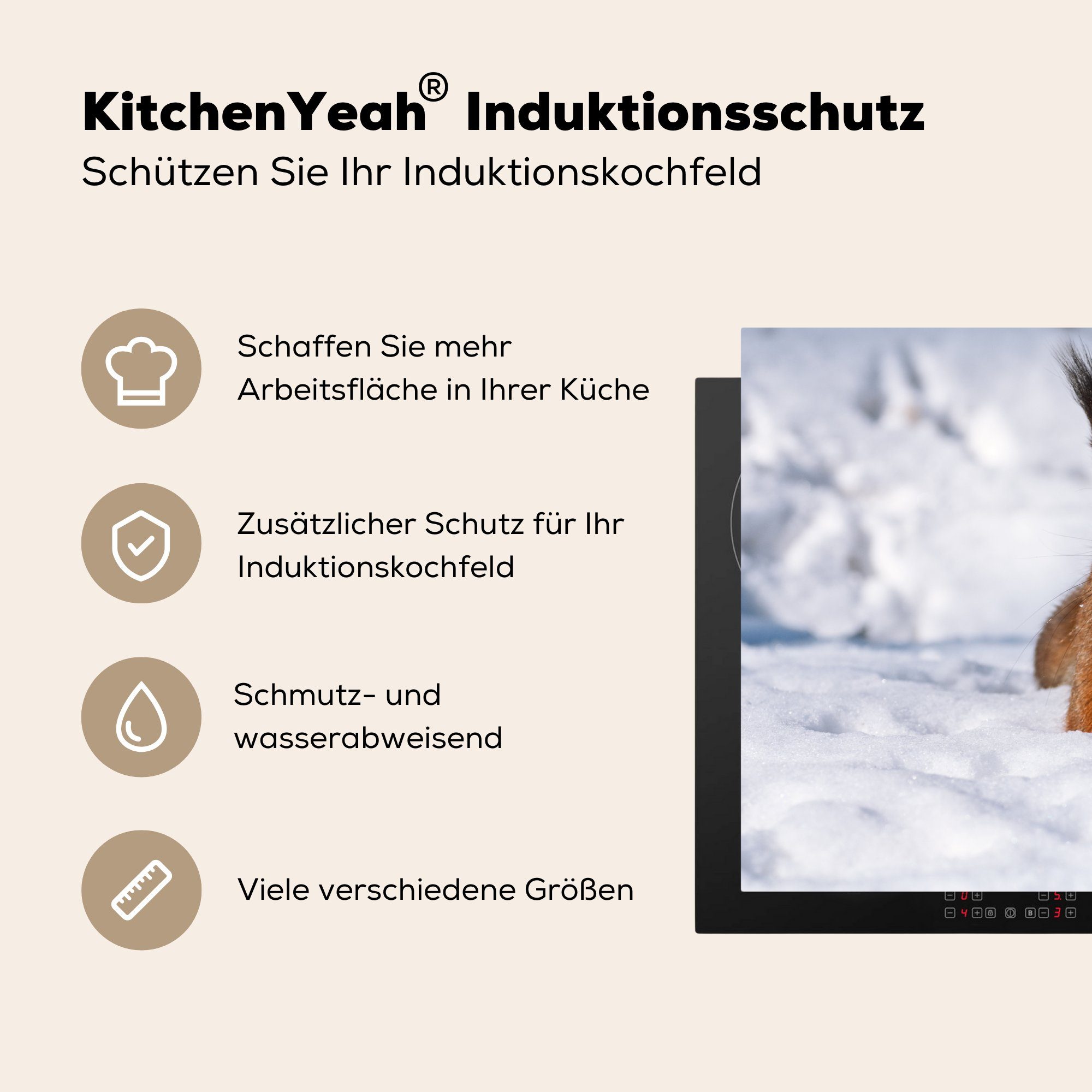 MuchoWow Herdblende-/Abdeckplatte Eichhörnchen 81x52 Ceranfeldabdeckung Winter, Induktionskochfeld cm, - Schutz Nagetier Vinyl, küche, für tlg), - Schnee (1 die 