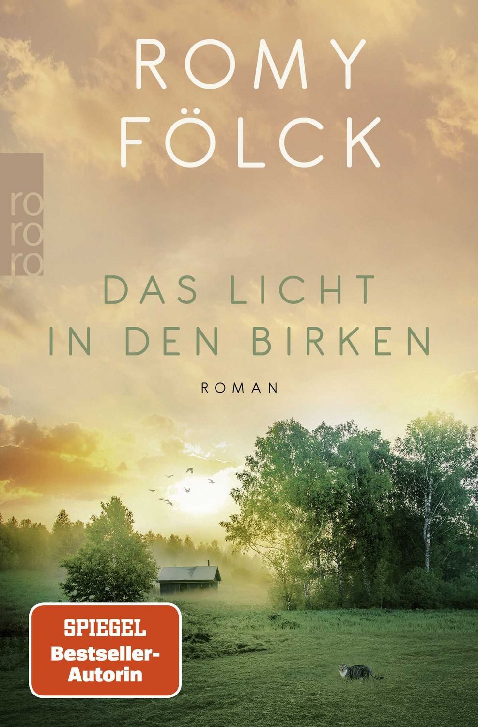 Belletristik Das Licht in den Birken Eine berührende Geschichte über Mut und Zusamm Romy Fölck