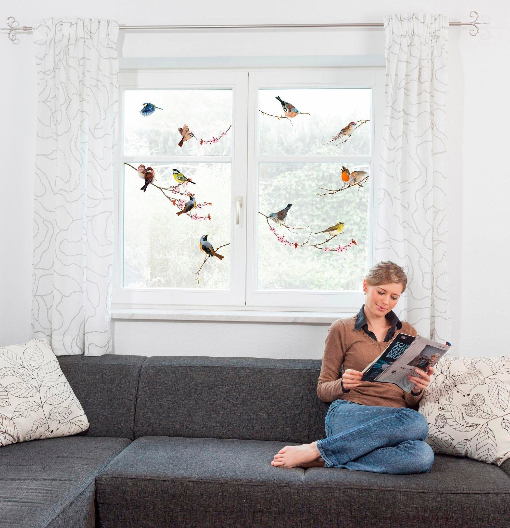 Komar Fensterbild Vögel, 31x31 cm, selbsthaftend
