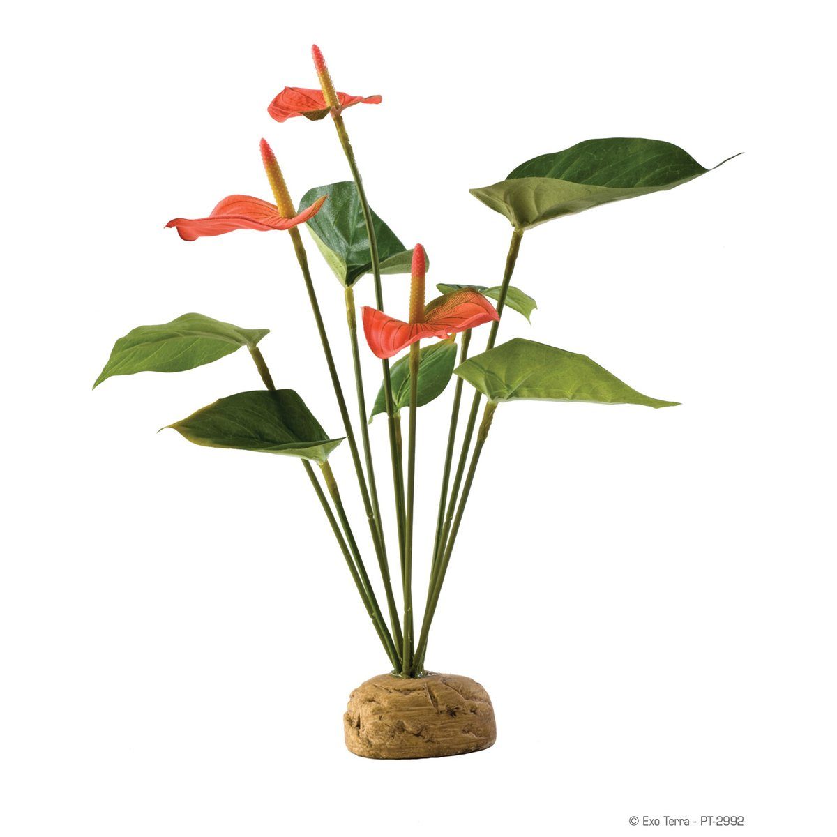Terrariendeko Terrarien-Pflanze Flamingoblume