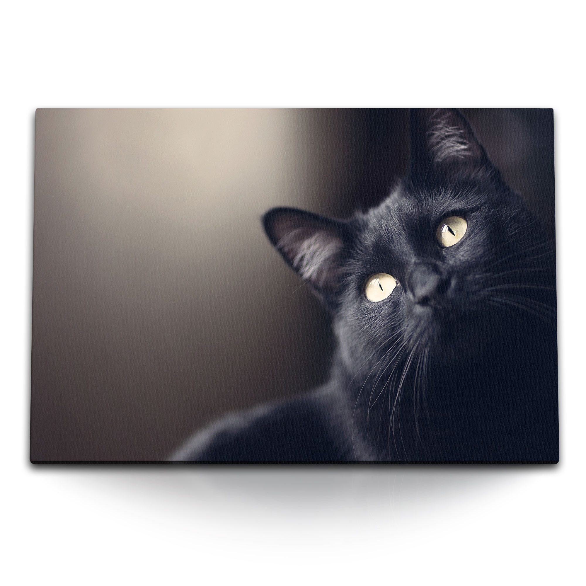 Sinus Art Leinwandbild 120x80cm Wandbild auf Leinwand Schwarze Katze Hauska günstig online kaufen