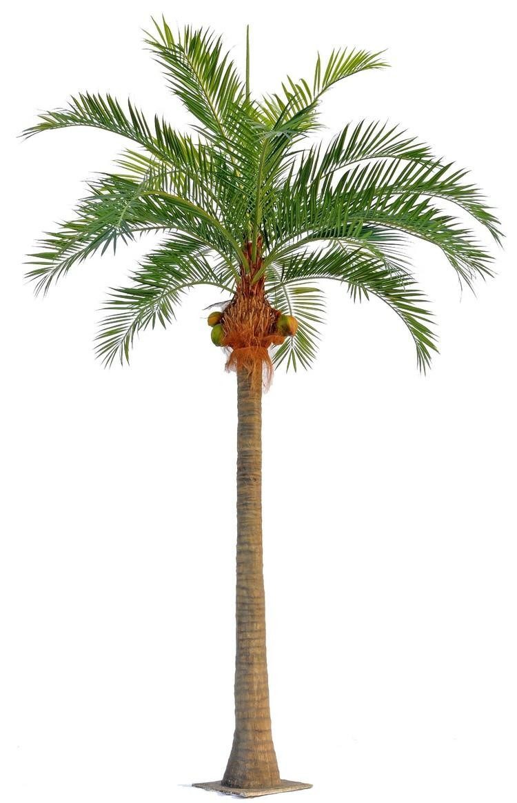Kunstpalme Kunststoff Kokospalme NARUN mit Kokosnüssen, 570cm Kokospalme, artplants, Höhe 570.0 cm