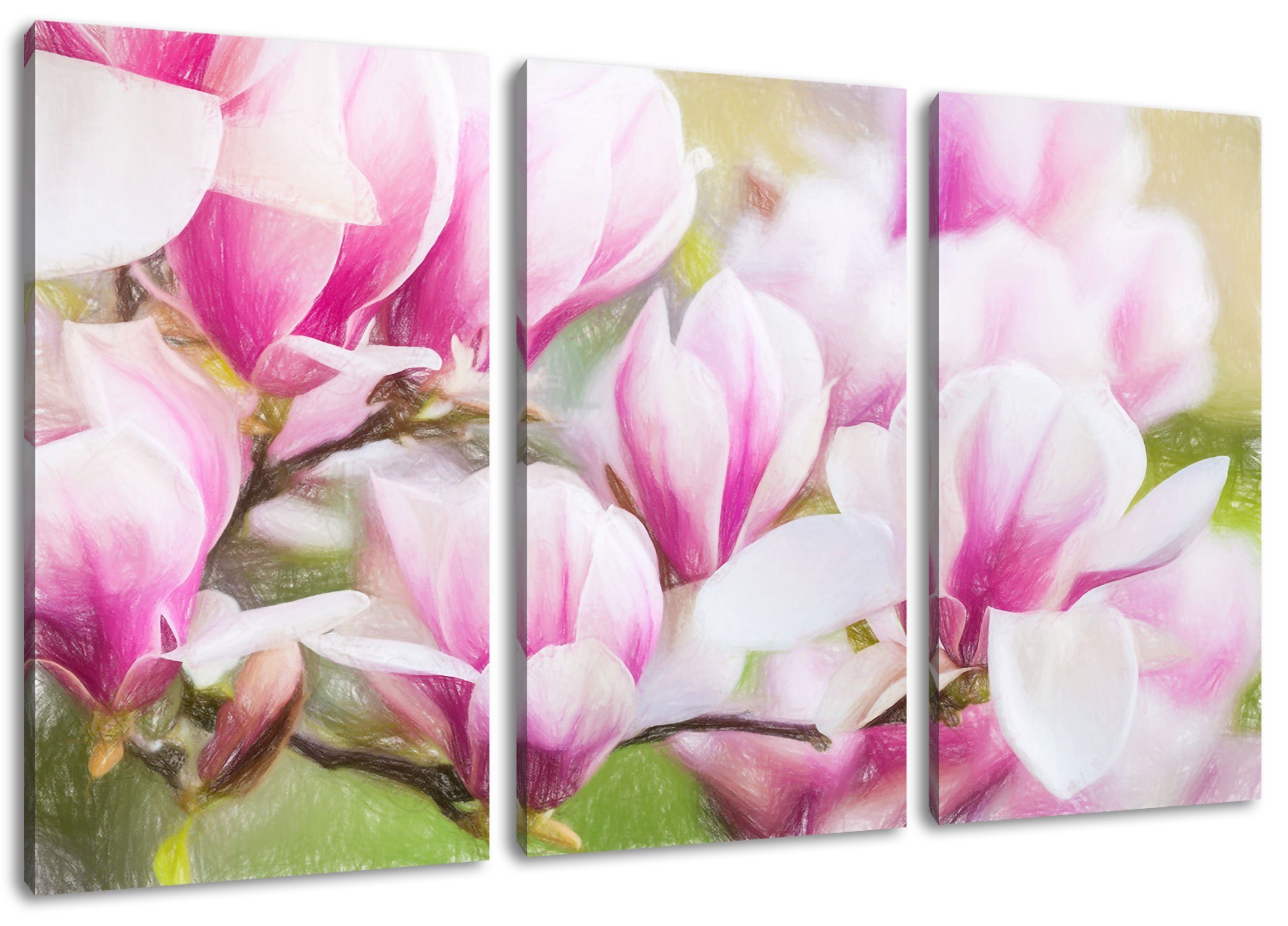 Pixxprint Leinwandbild feine rosa farbende Blüte, feine rosa farbende Blüte 3Teiler (120x80cm) (1 St), Leinwandbild fertig bespannt, inkl. Zackenaufhänger