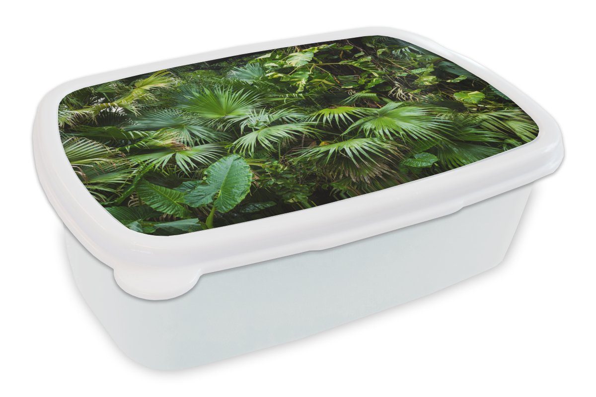 MuchoWow Lunchbox Palmwedel - Sonne - Tropisch, Kunststoff, (2-tlg), Brotbox für Kinder und Erwachsene, Brotdose, für Jungs und Mädchen weiß