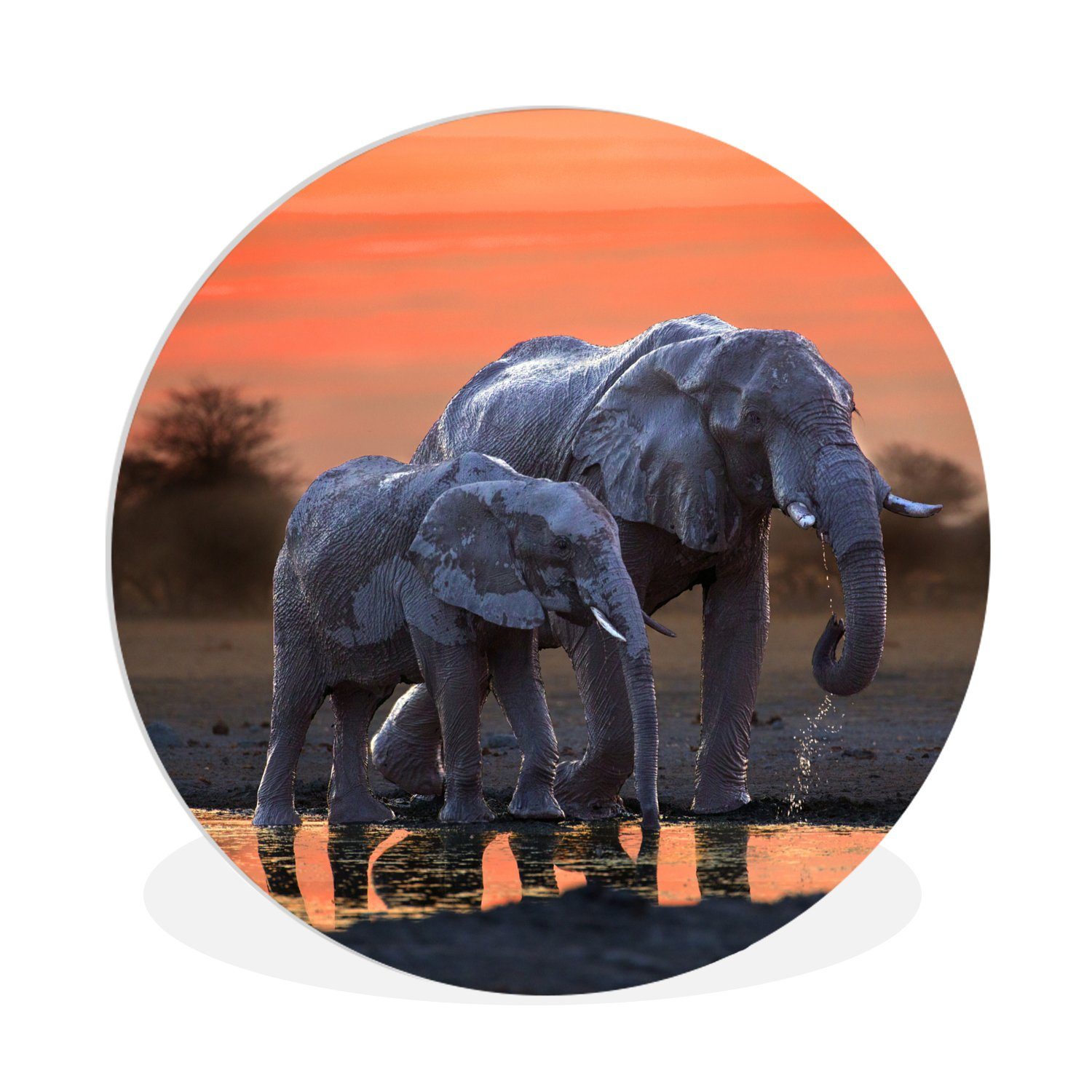 MuchoWow Gemälde Elefant - Tiere - Sonnenuntergang - Wasser - Orange, (1 St), Kreis Wanddekoration Forex, Rundes Wandbild, Wohnzimmer, 30x30 cm