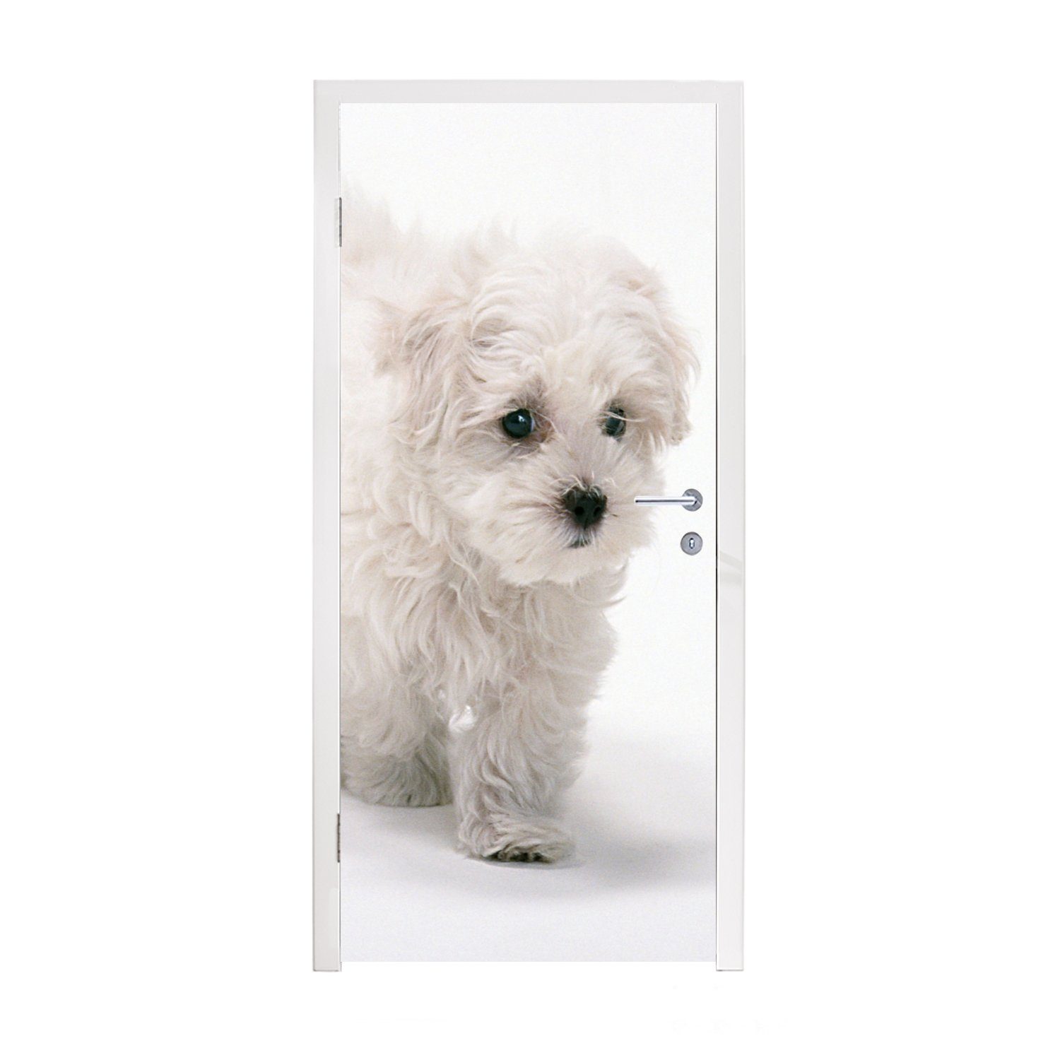 MuchoWow Türtapete Niedlicher kleiner Malteserhund, Matt, bedruckt, (1 St), Fototapete für Tür, Türaufkleber, 75x205 cm | Türtapeten