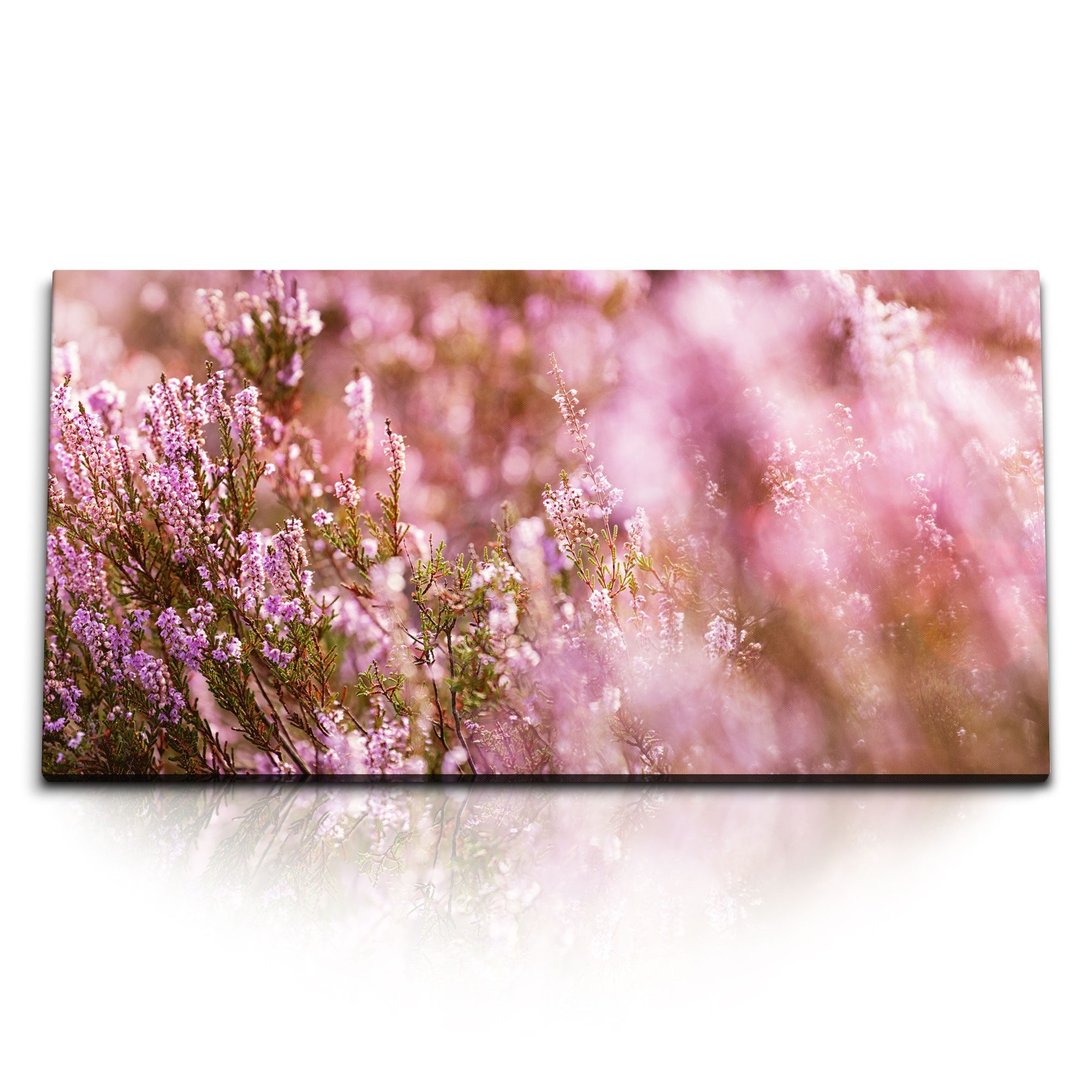 Leinwandbild Kunstdruck Bilder 120x60cm Besenheide Pflanze Sommer Blumen Sonnensche